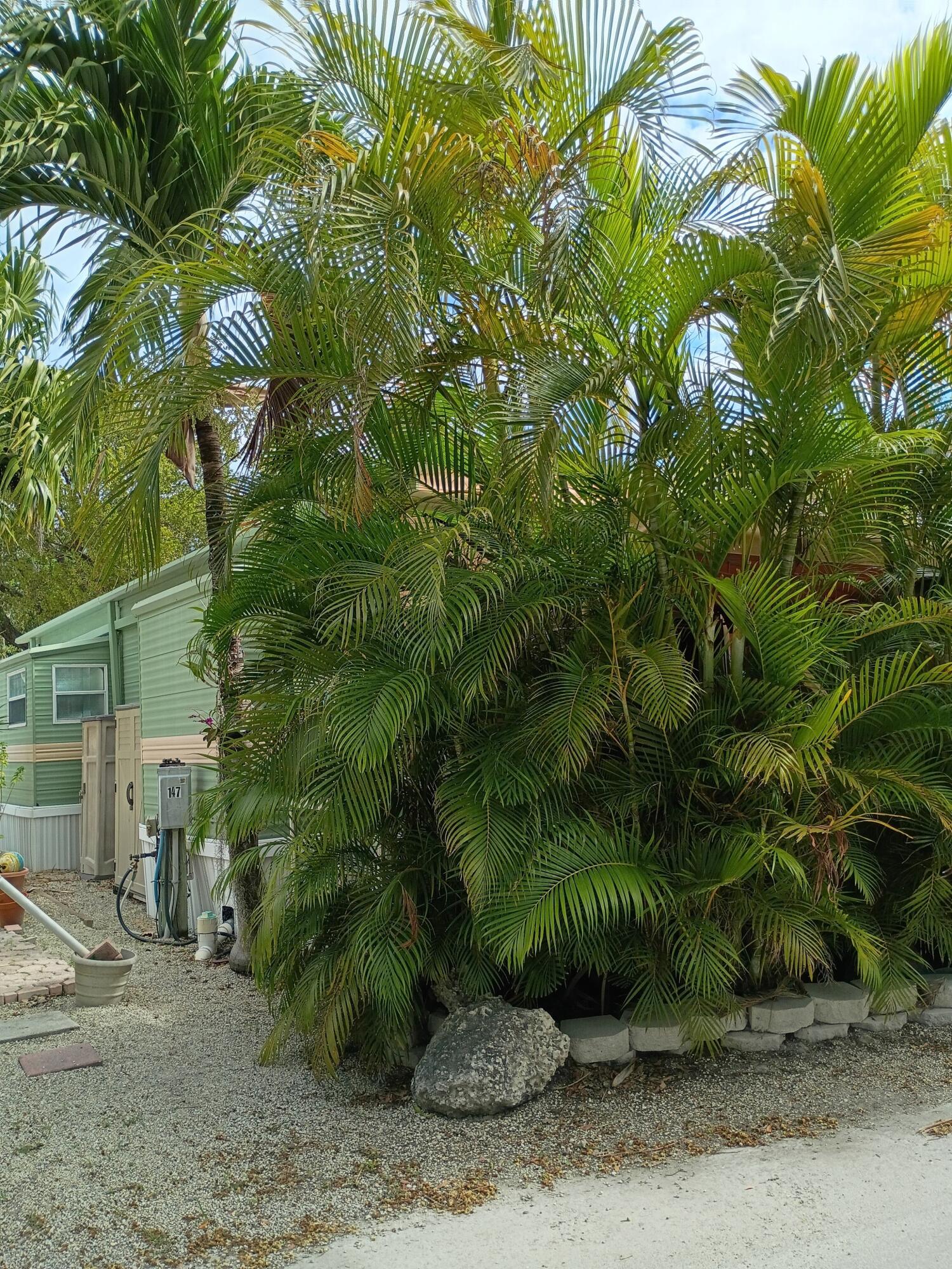 101551 Overseas Highway 147 Property Photo 62