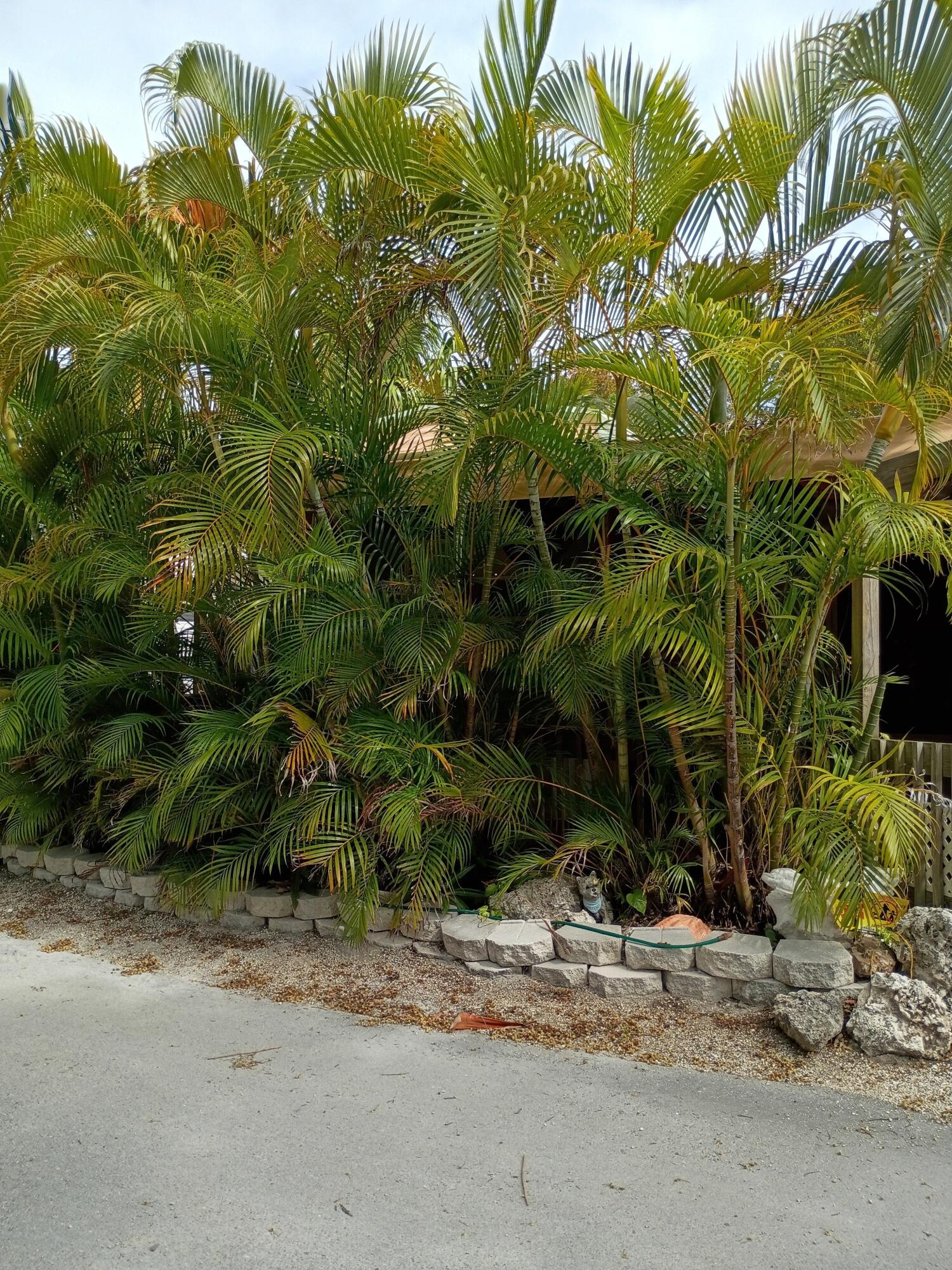 101551 Overseas Highway 147 Property Photo 63