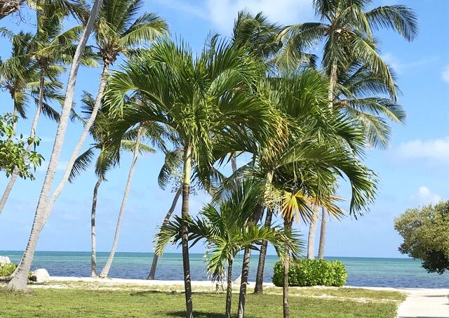 75131 Overseas Highway Property Photo 19