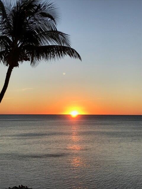75131 Overseas Highway Property Photo 29
