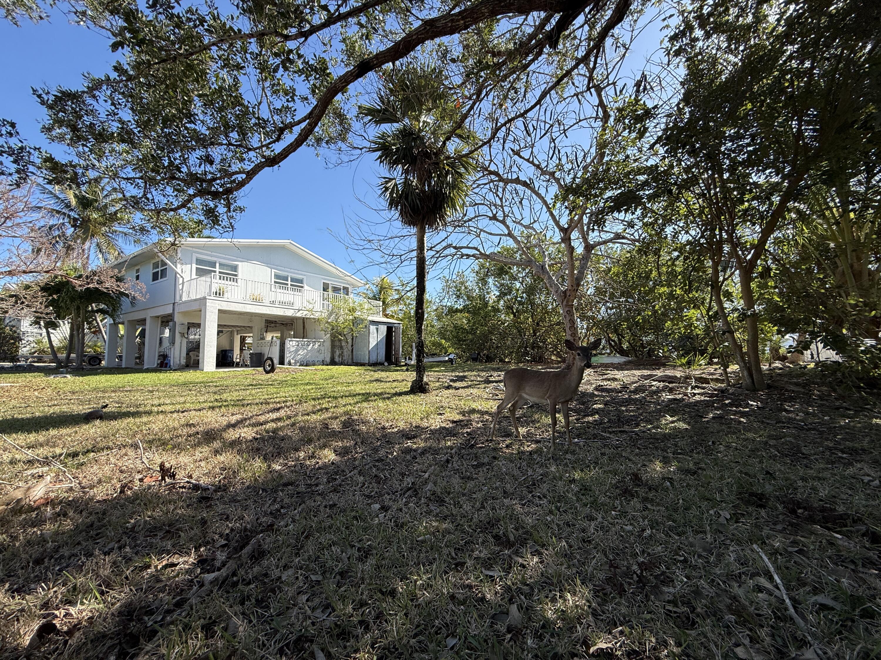 4039 Egret Lane Property Photo 14