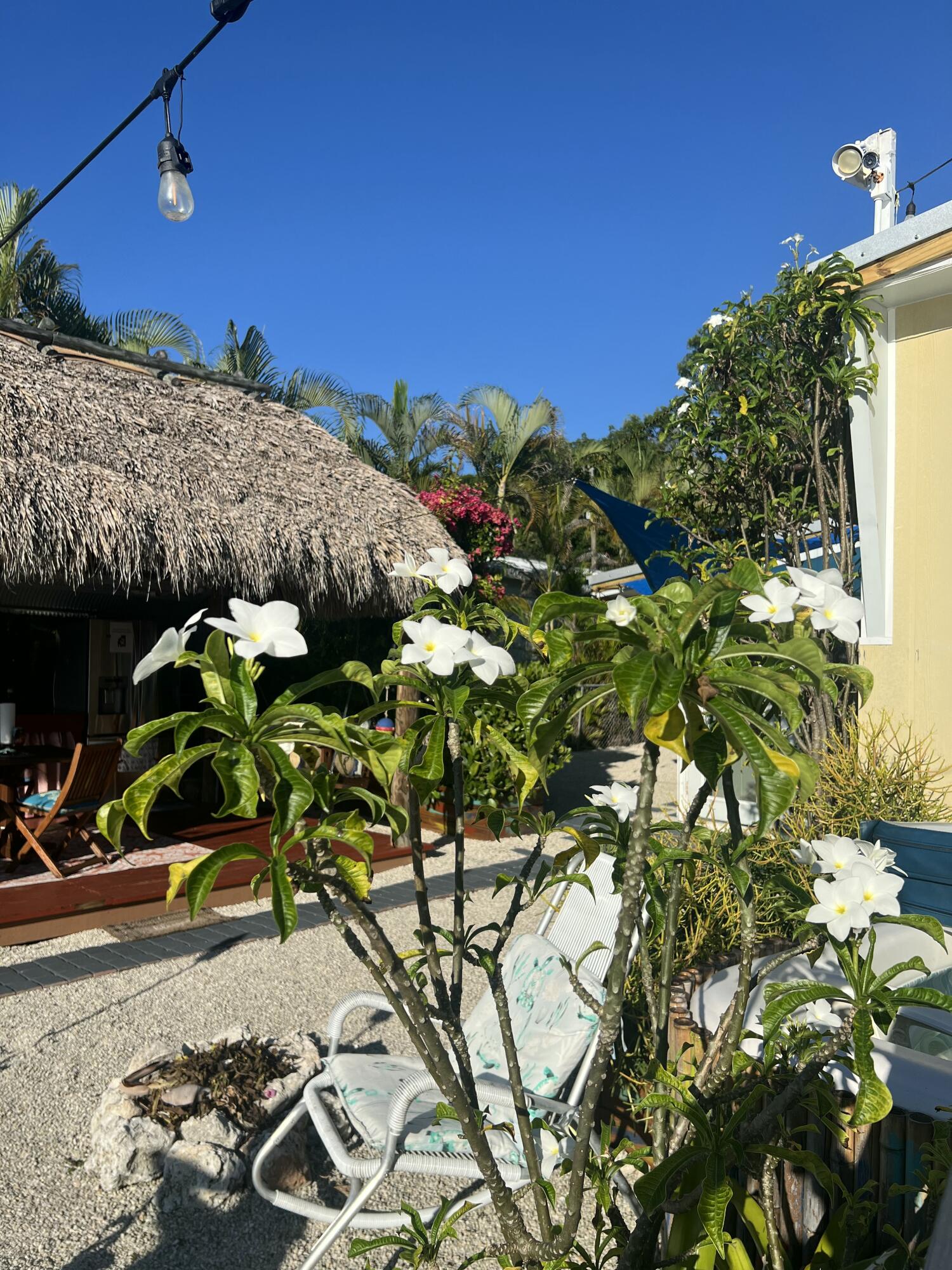 8 Grassy Road Property Photo 17