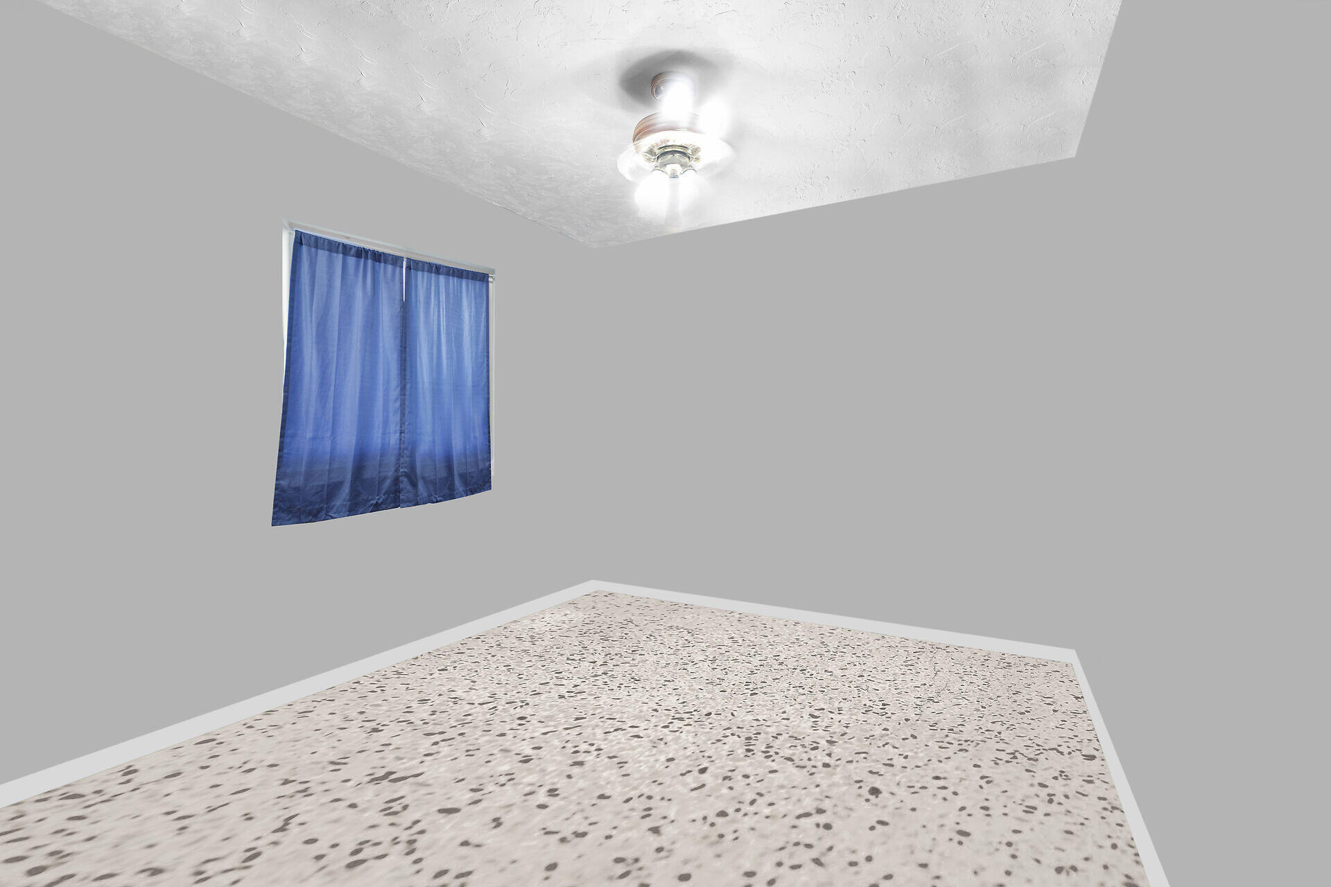 181 Dove Lake Drive Property Photo 21