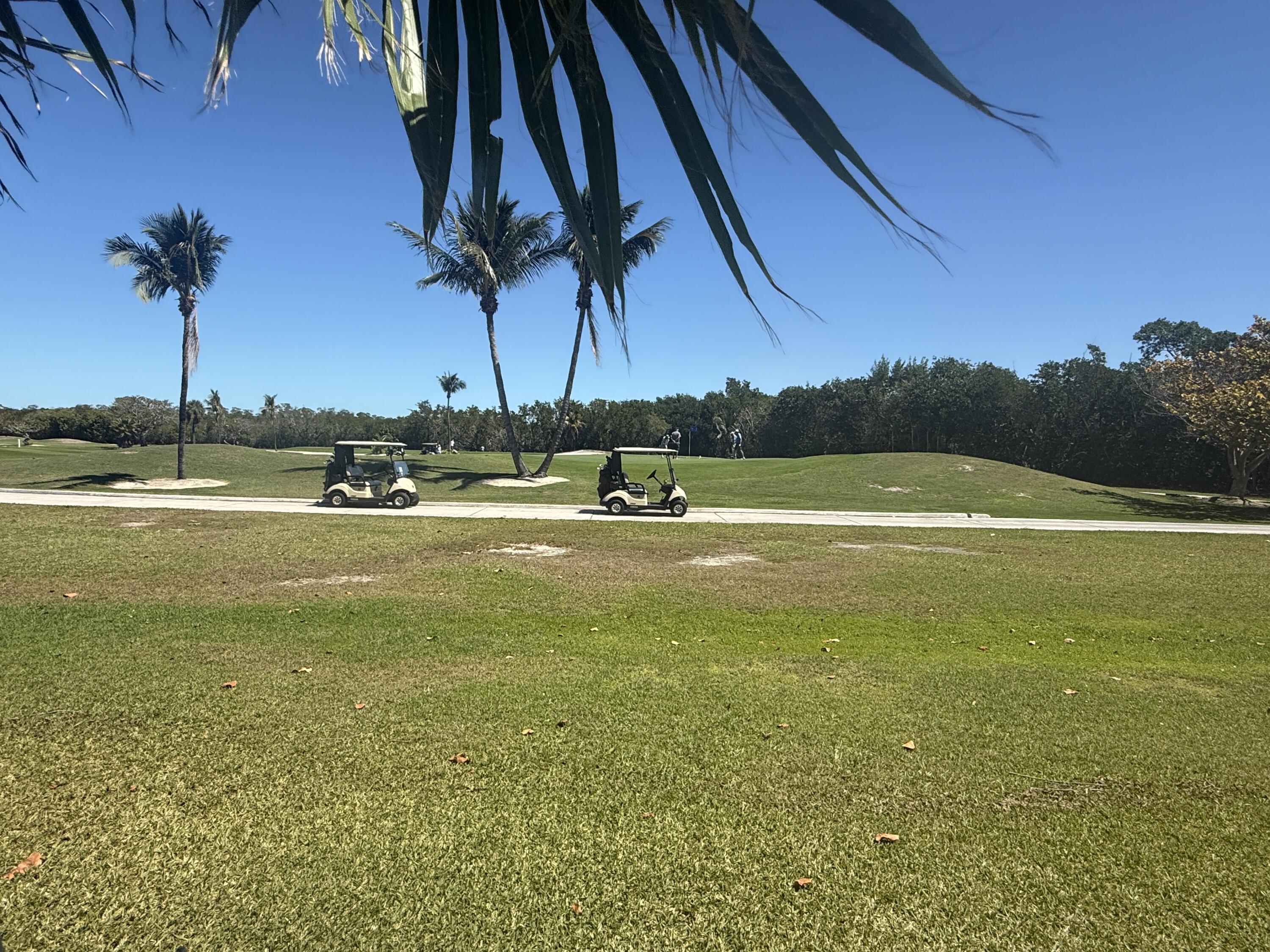 81 Golf Club Drive Property Photo 19