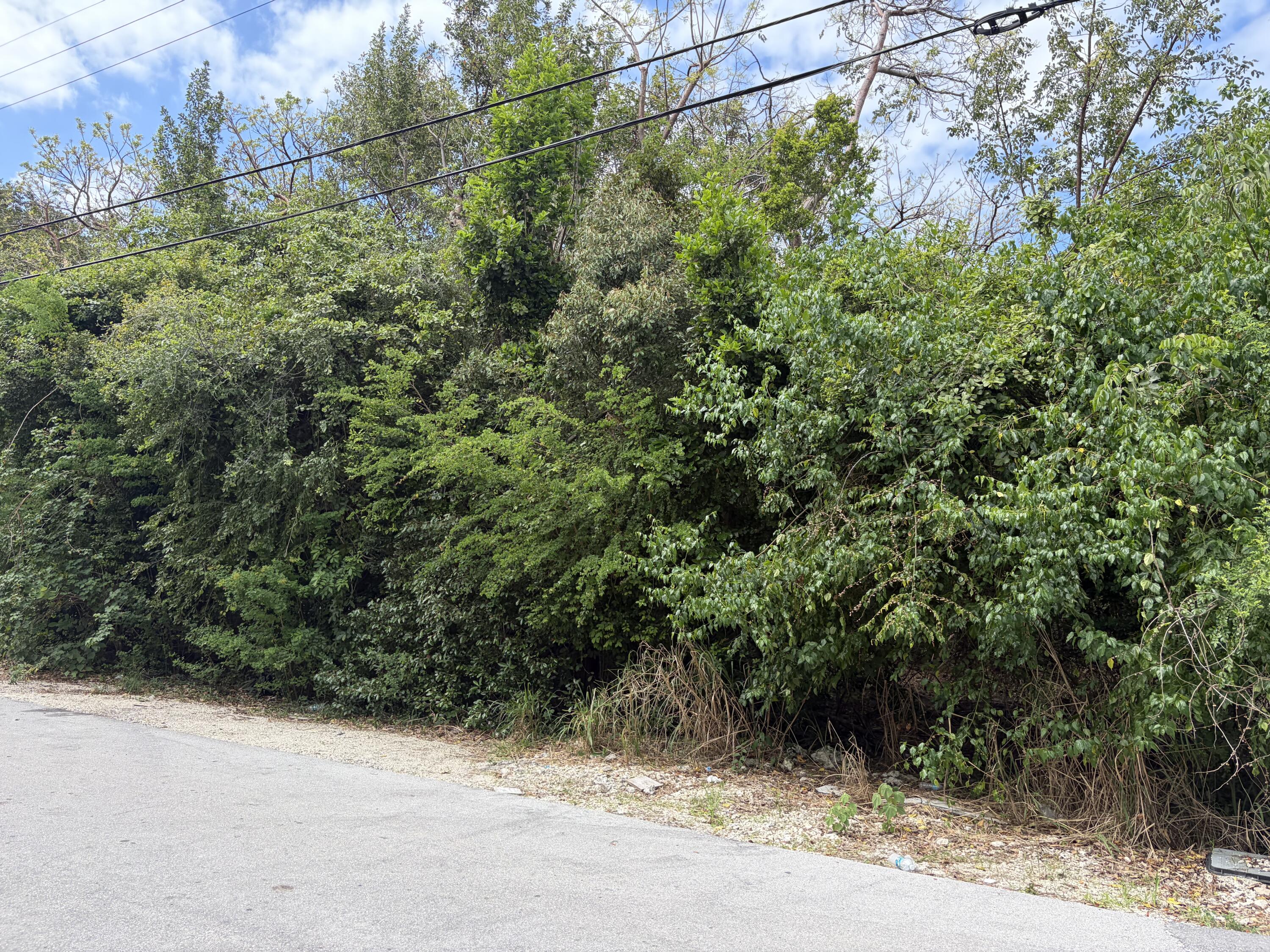 1028 Snapper Lane Property Photo 1