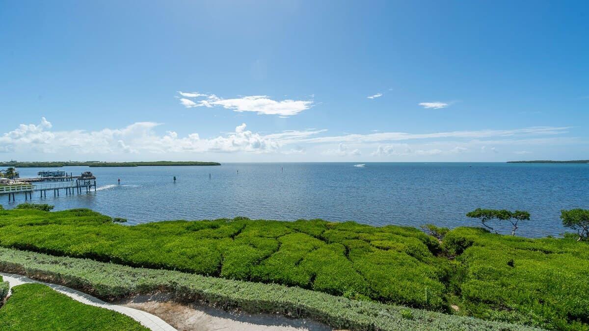 97501 Overseas Highway 334 Property Photo 3