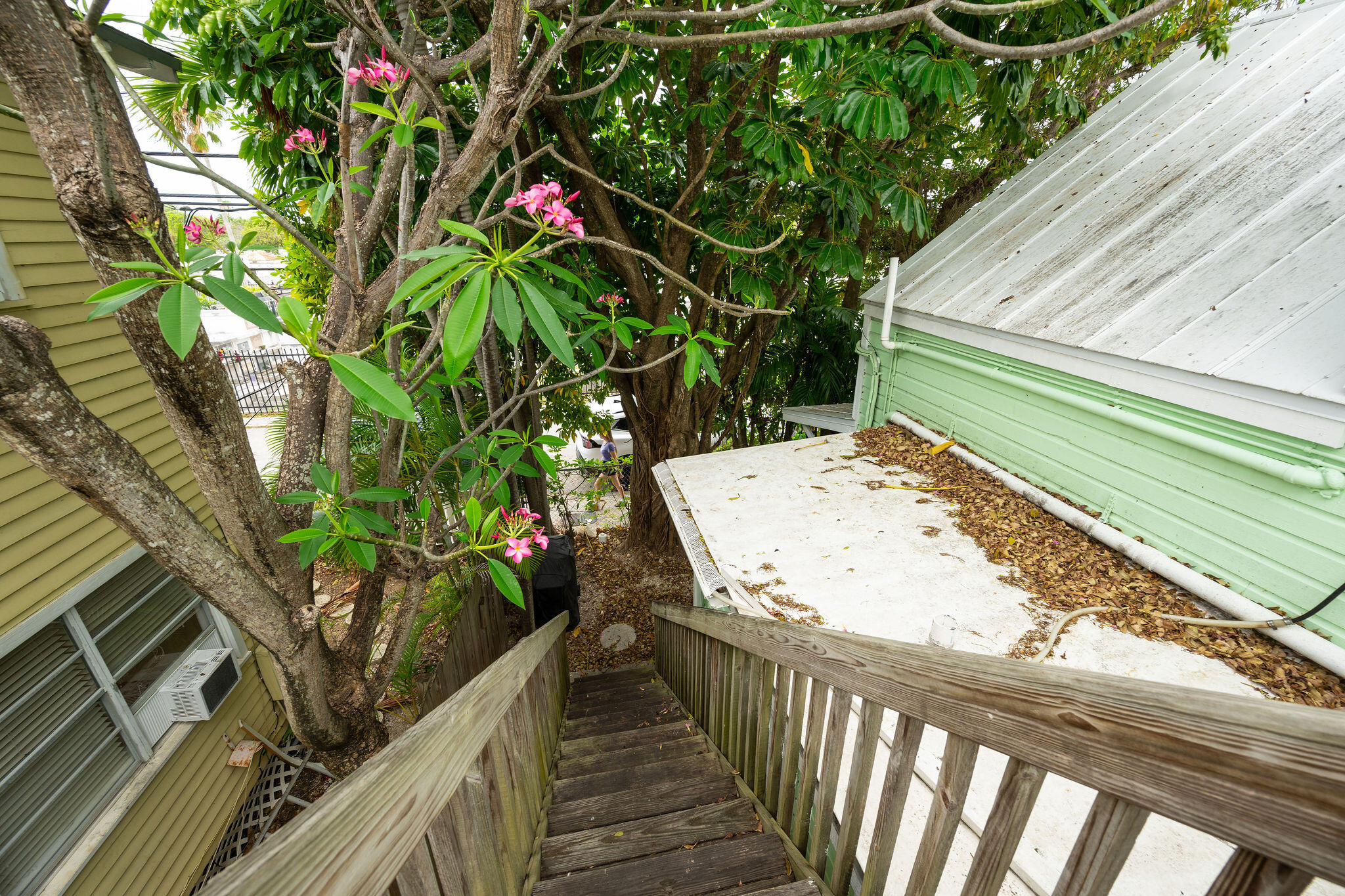 846 Olivia Street Property Photo 42