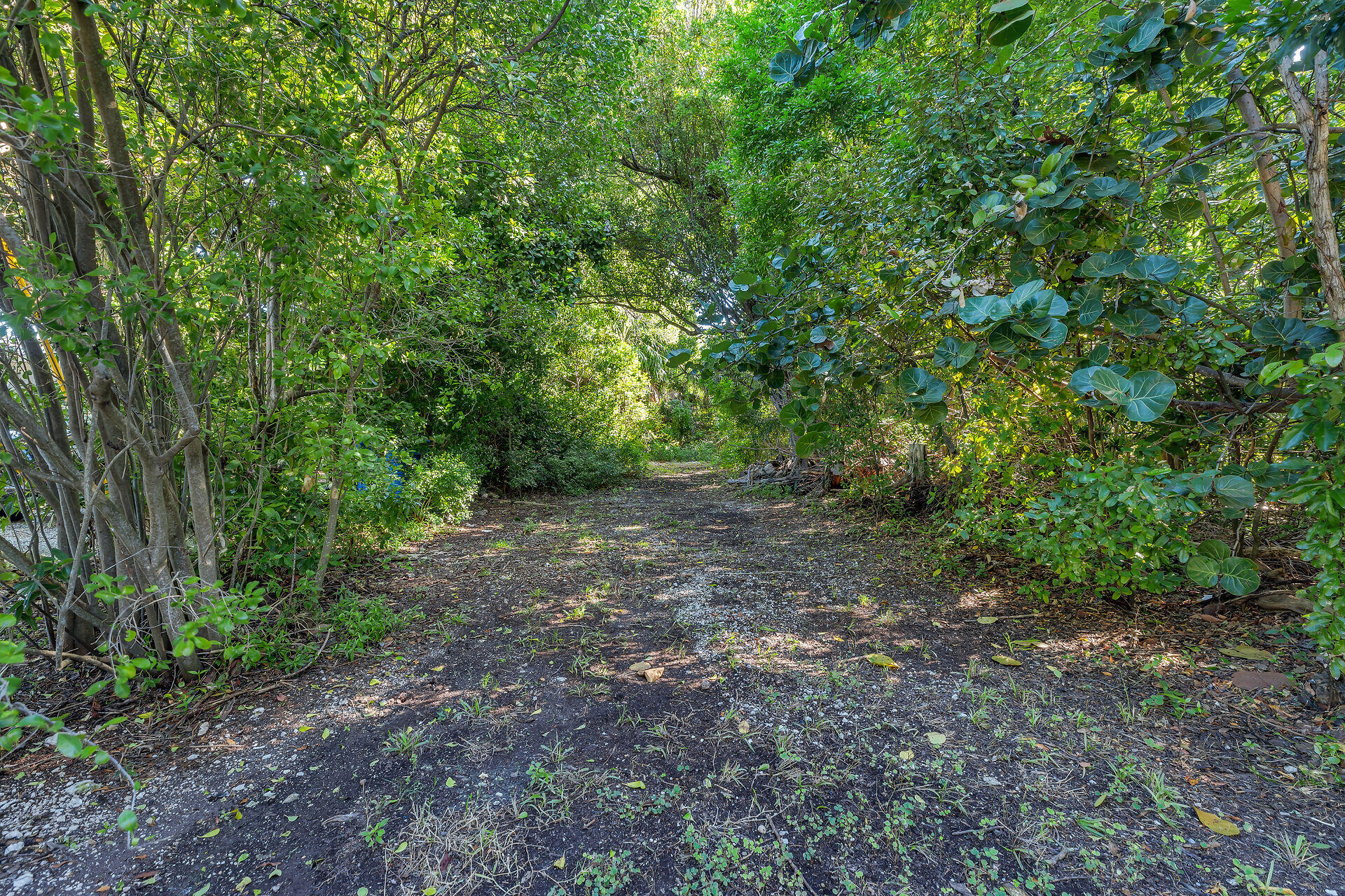 Apache Street Property Photo 4