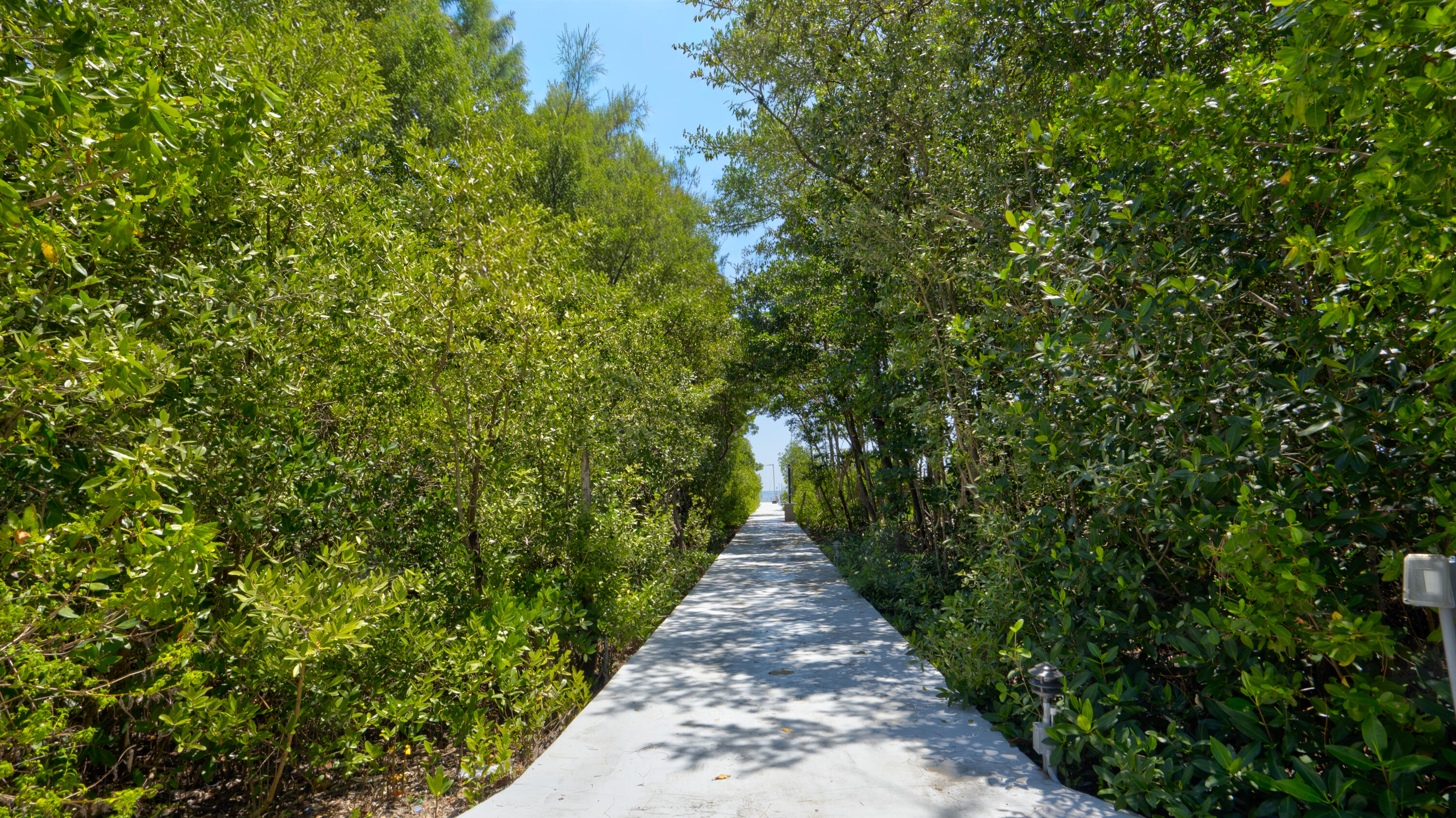 34 Atlantic Drive Property Photo 87