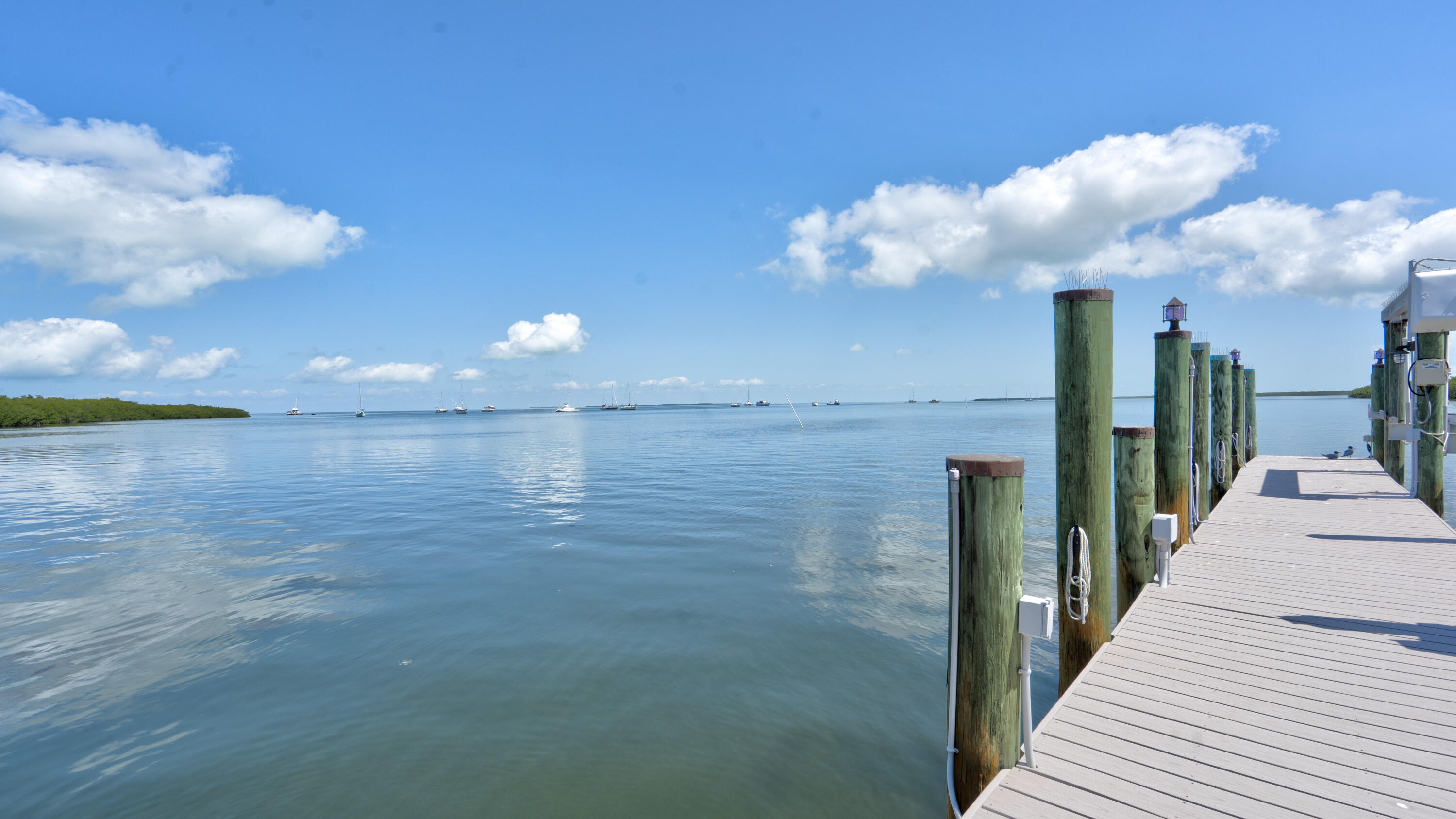 1101 Mastic Street Property Photo 43