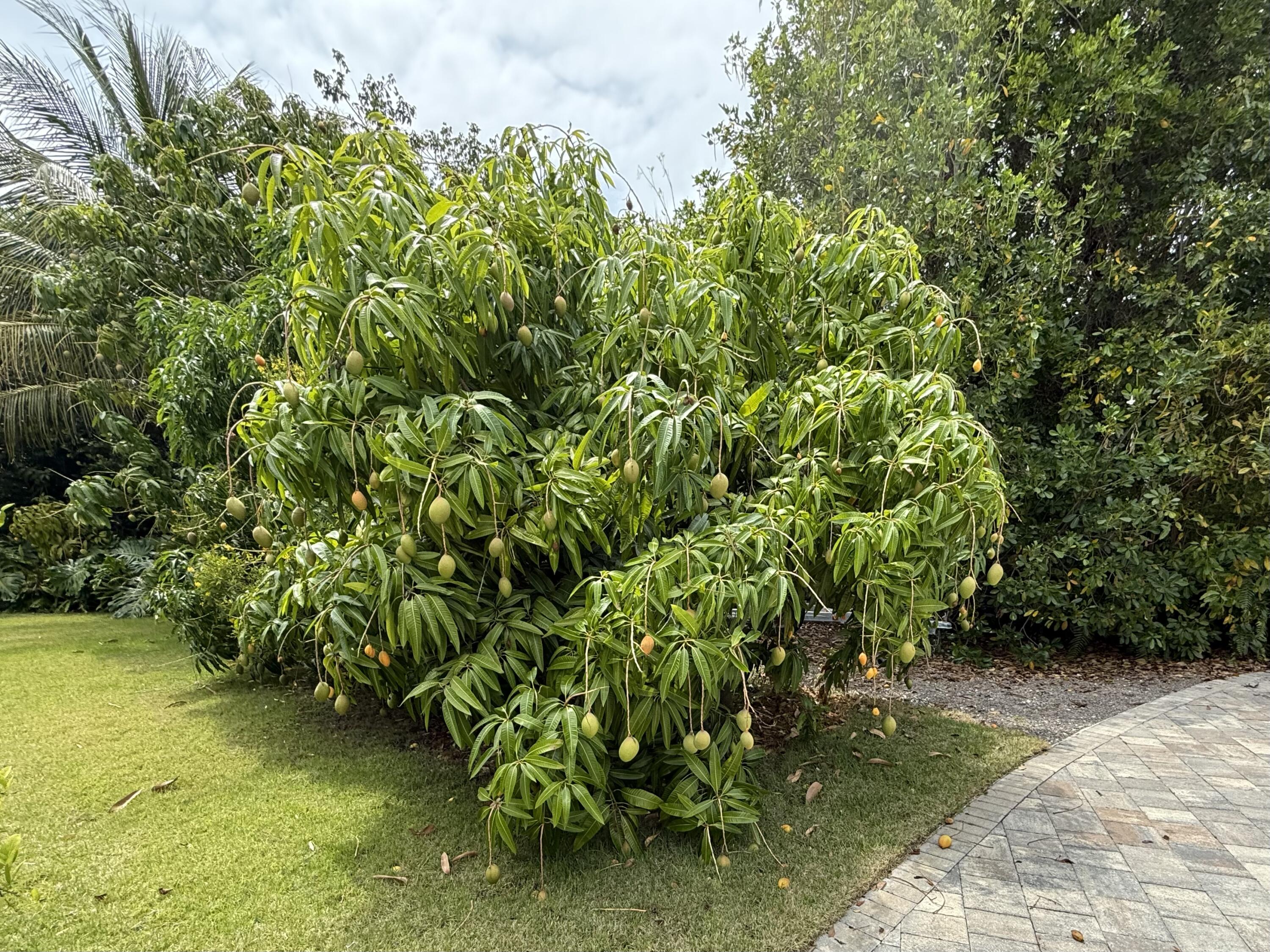 29 Key Haven Road Property Photo 85
