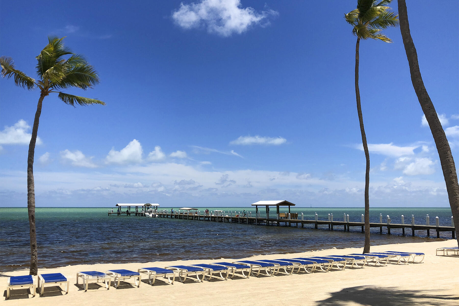 81801 Overseas Highway 637 Property Photo 16