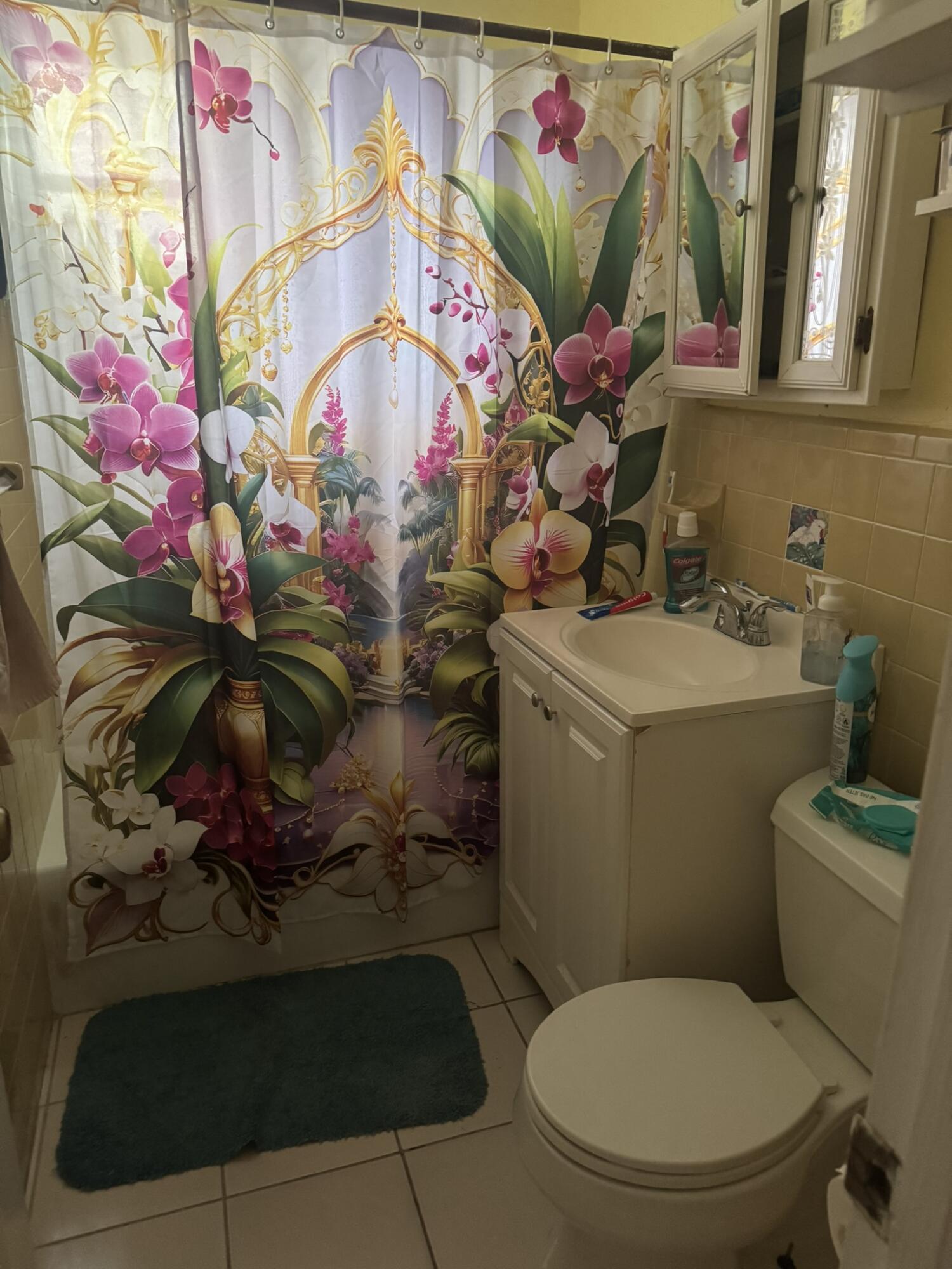 250 66th Street Property Photo 10