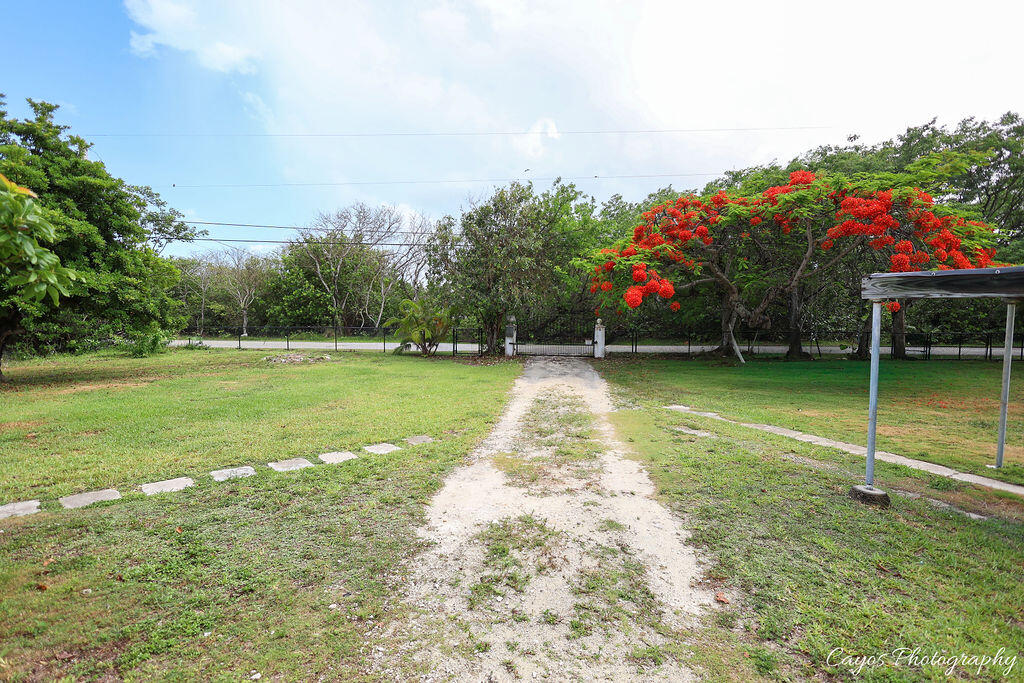 30525 Winifred Street Property Photo 7