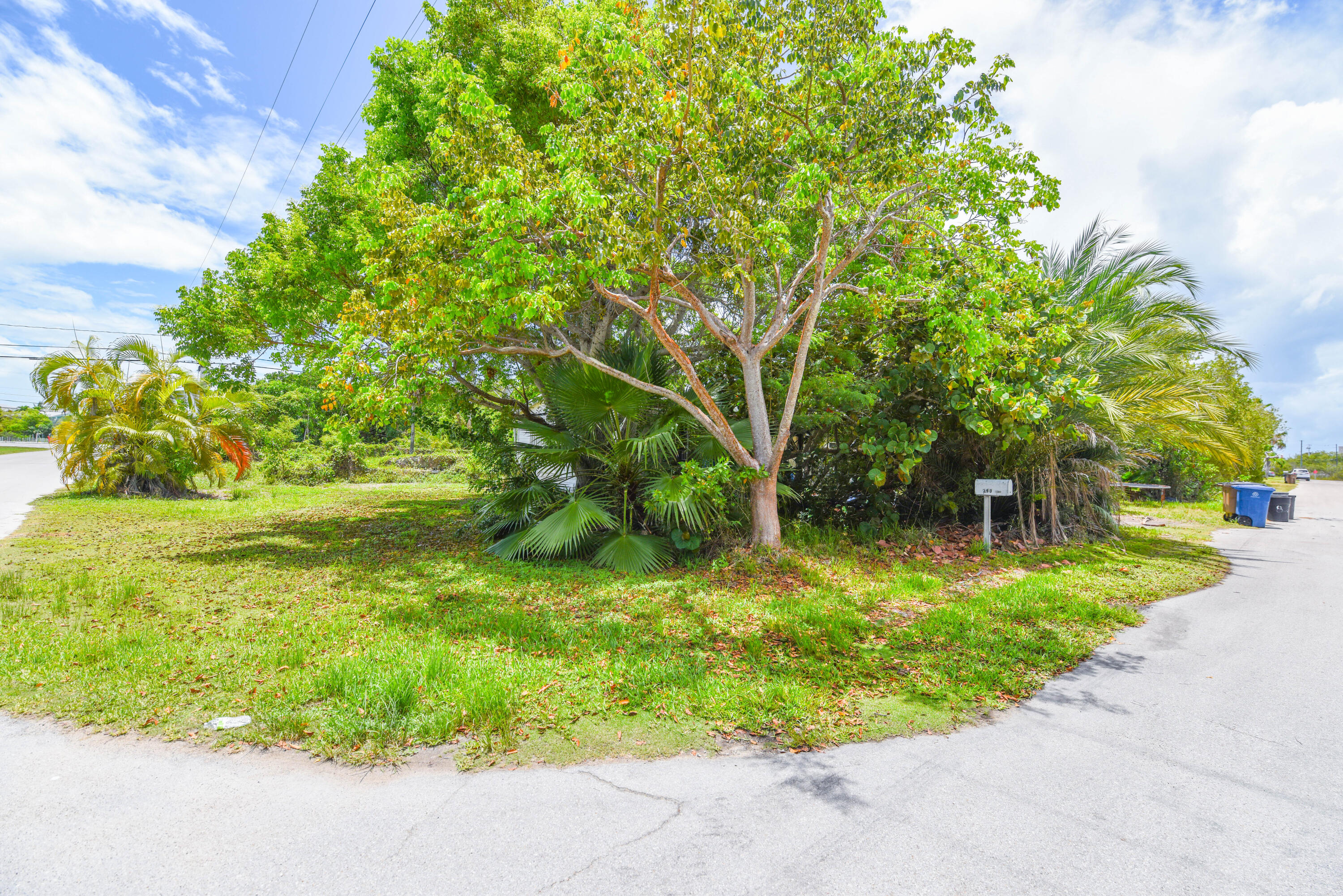 290 46th Street Property Photo 24