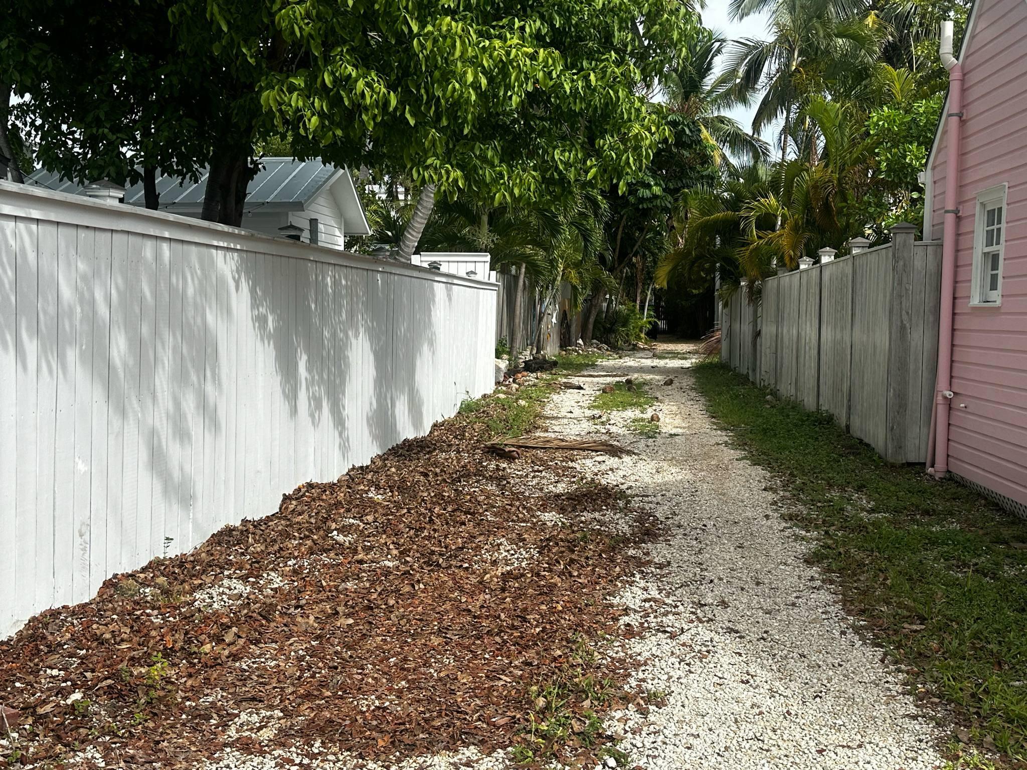 906 Williams Alley Property Photo 8