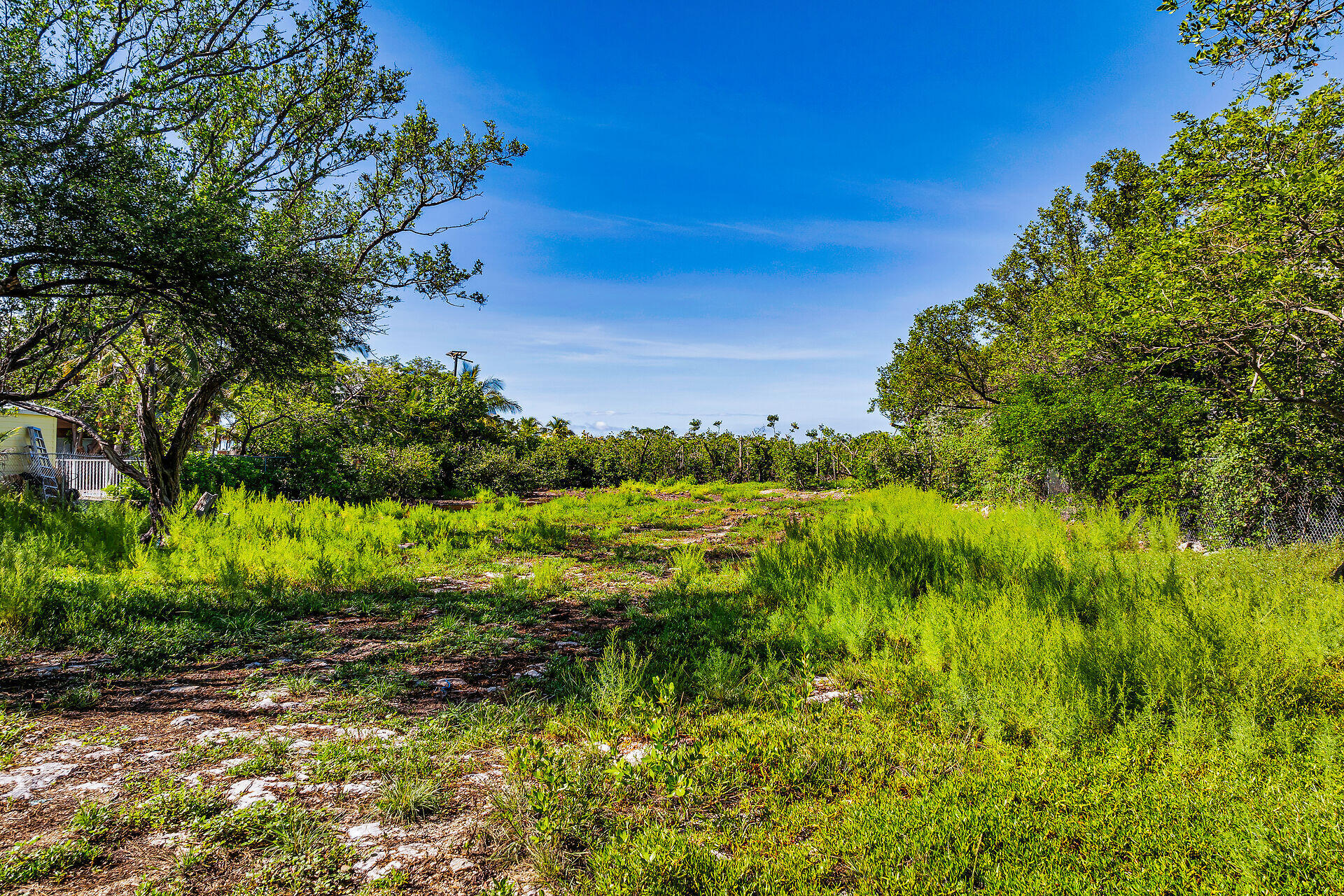 229 Coral Road Property Photo 10