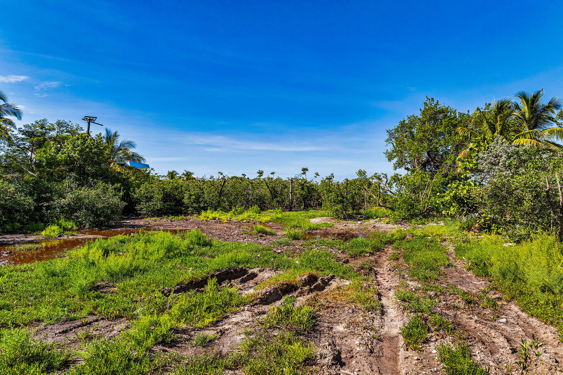 229 Coral Road Property Photo 12