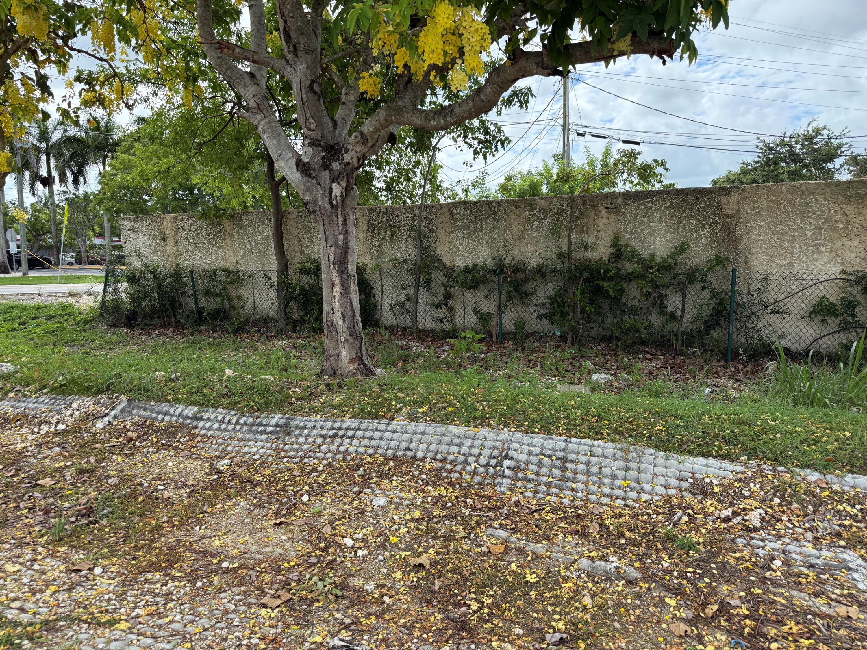 620260 Property Photo 4