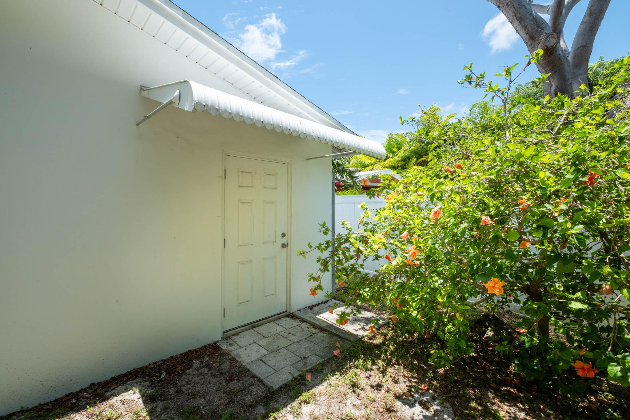 29 Bonita Avenue Property Photo 33