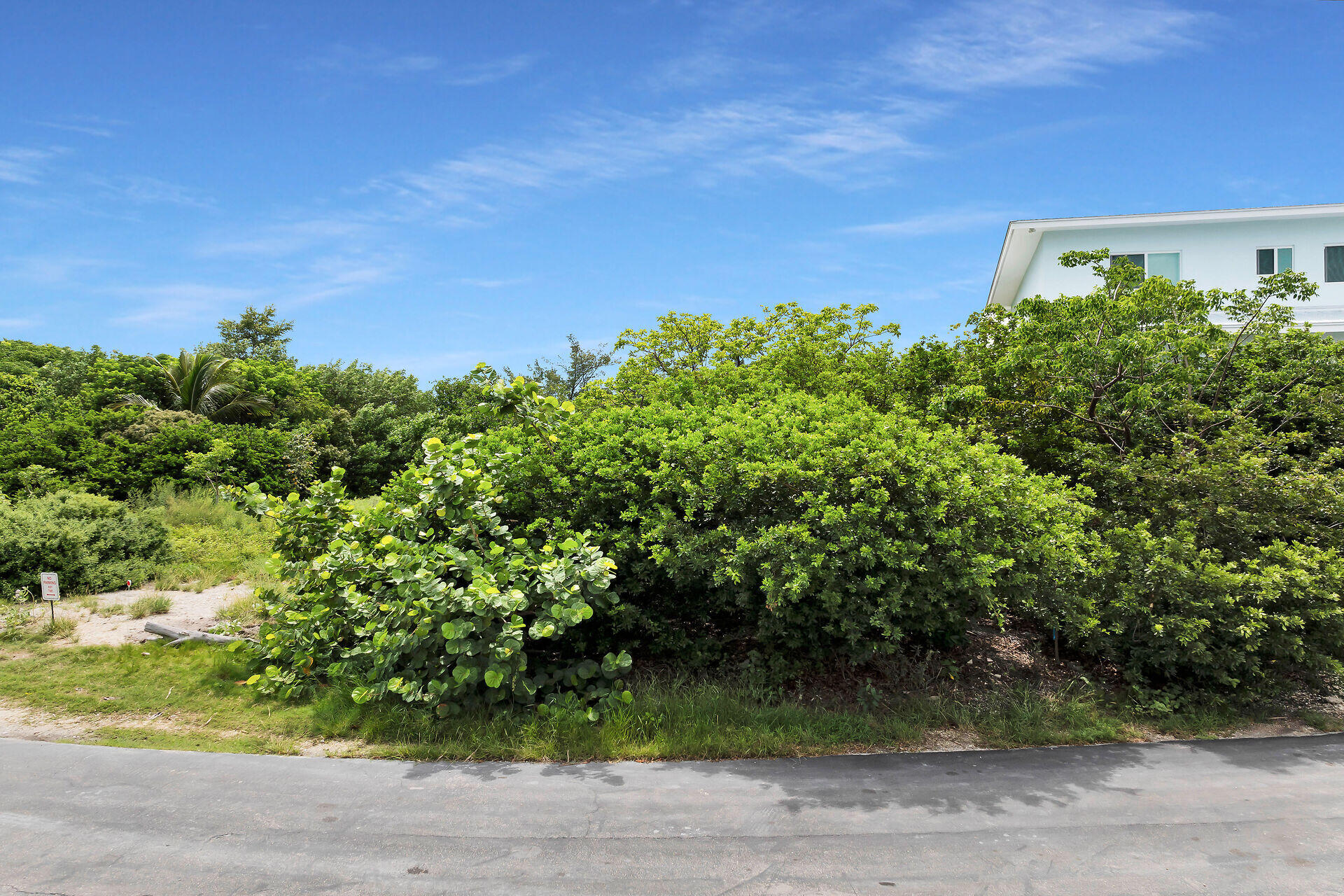 Vacant 3a Treasure Road Property Photo 27