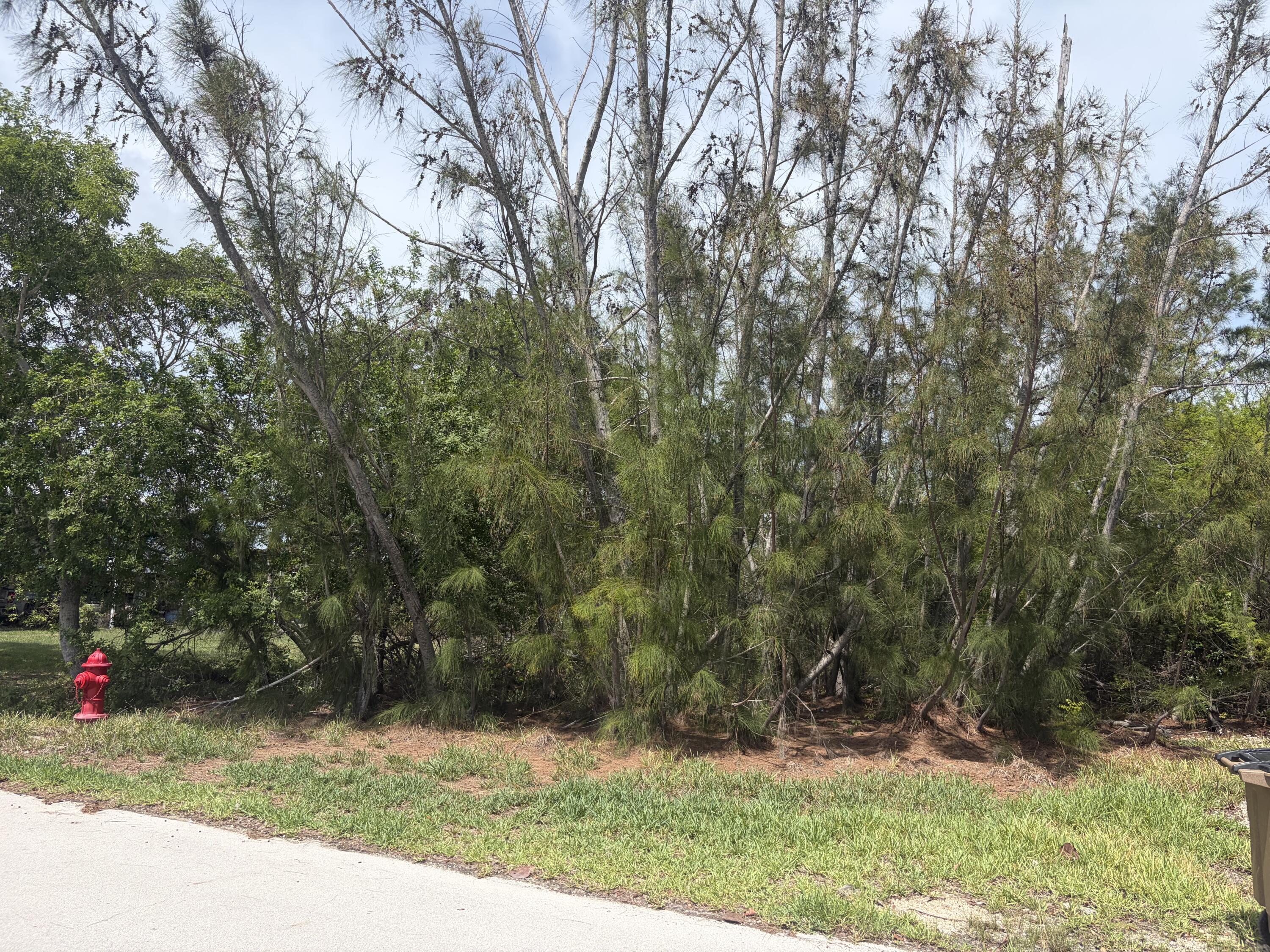 0 Lobstertail Road Property Photo 1