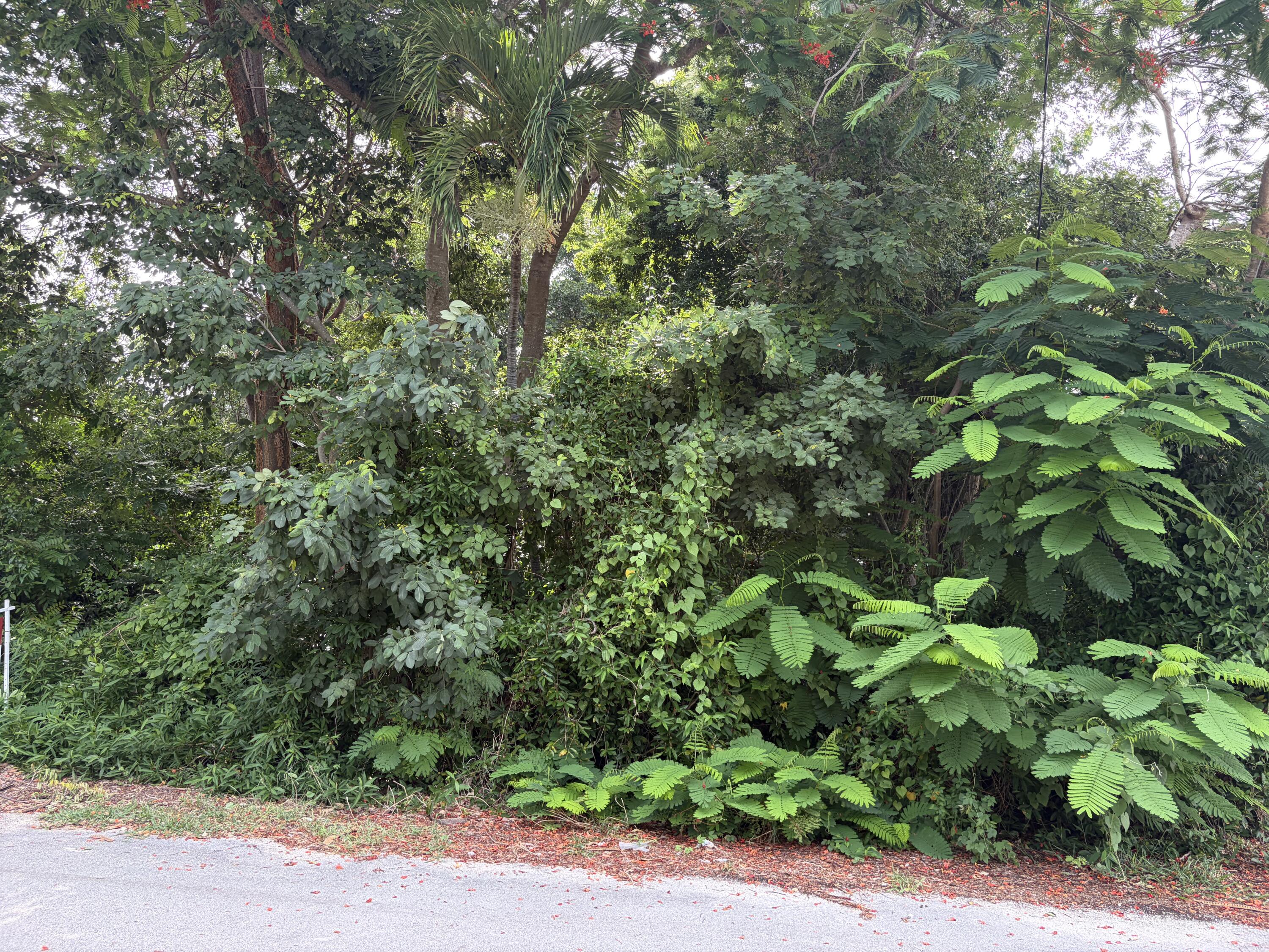 657 Colson Drive Property Photo 1