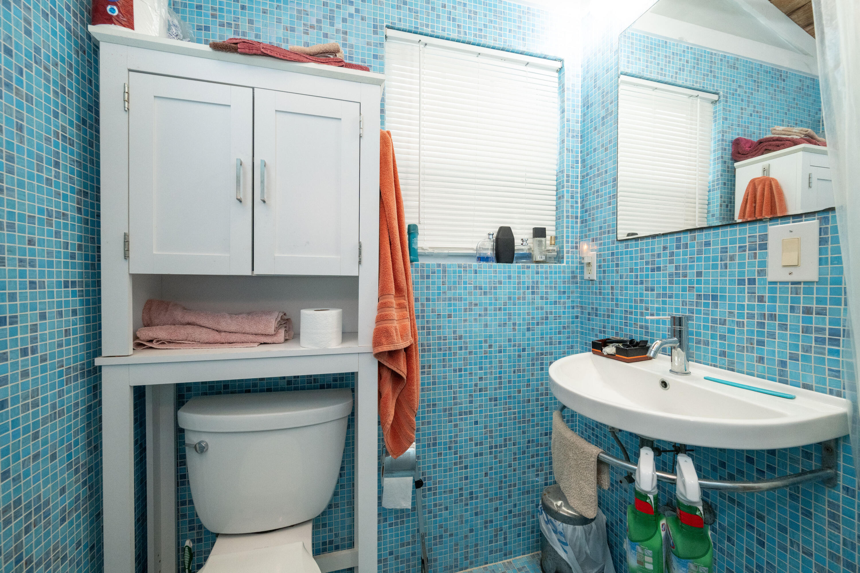 1407 Petronia Street Property Photo 33
