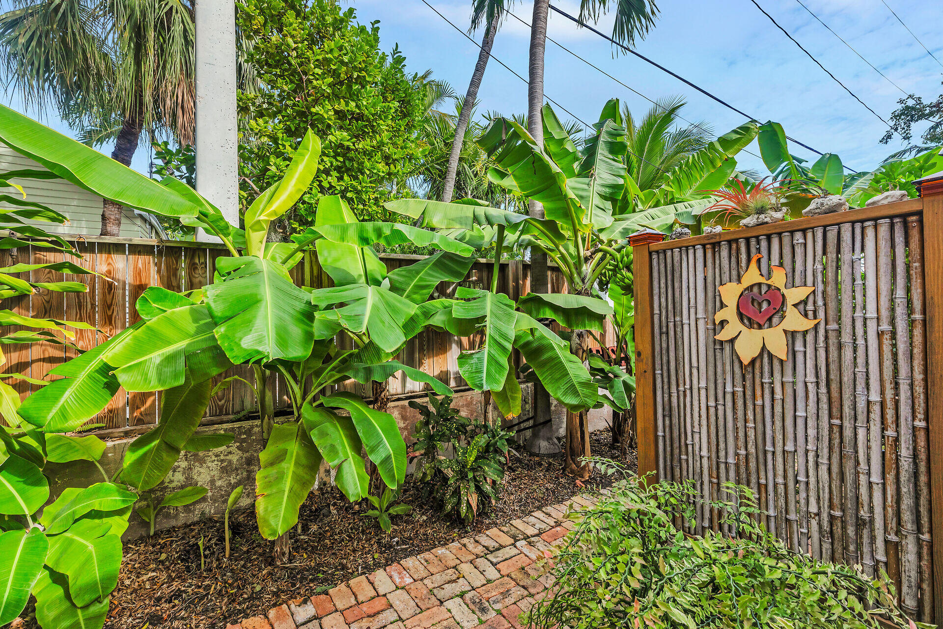 907 Frances Street Property Photo 43