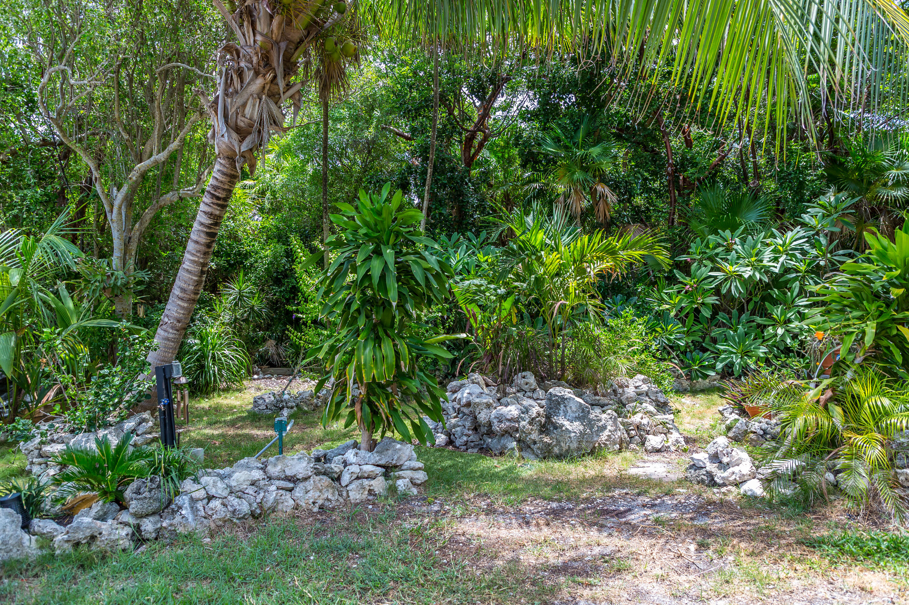 91 Dorsett Drive Property Photo 23
