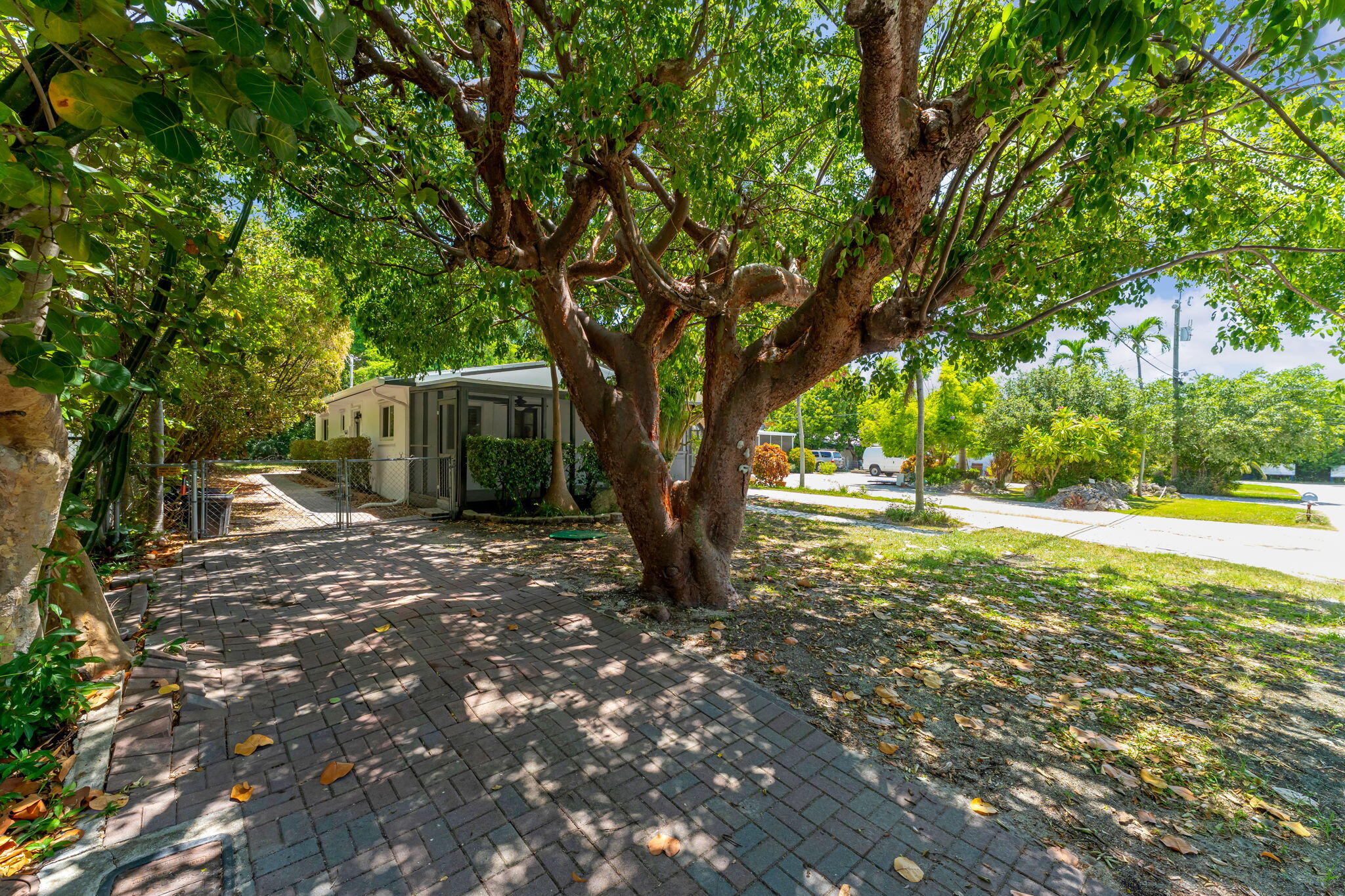 803 Brown Street Property Photo 41