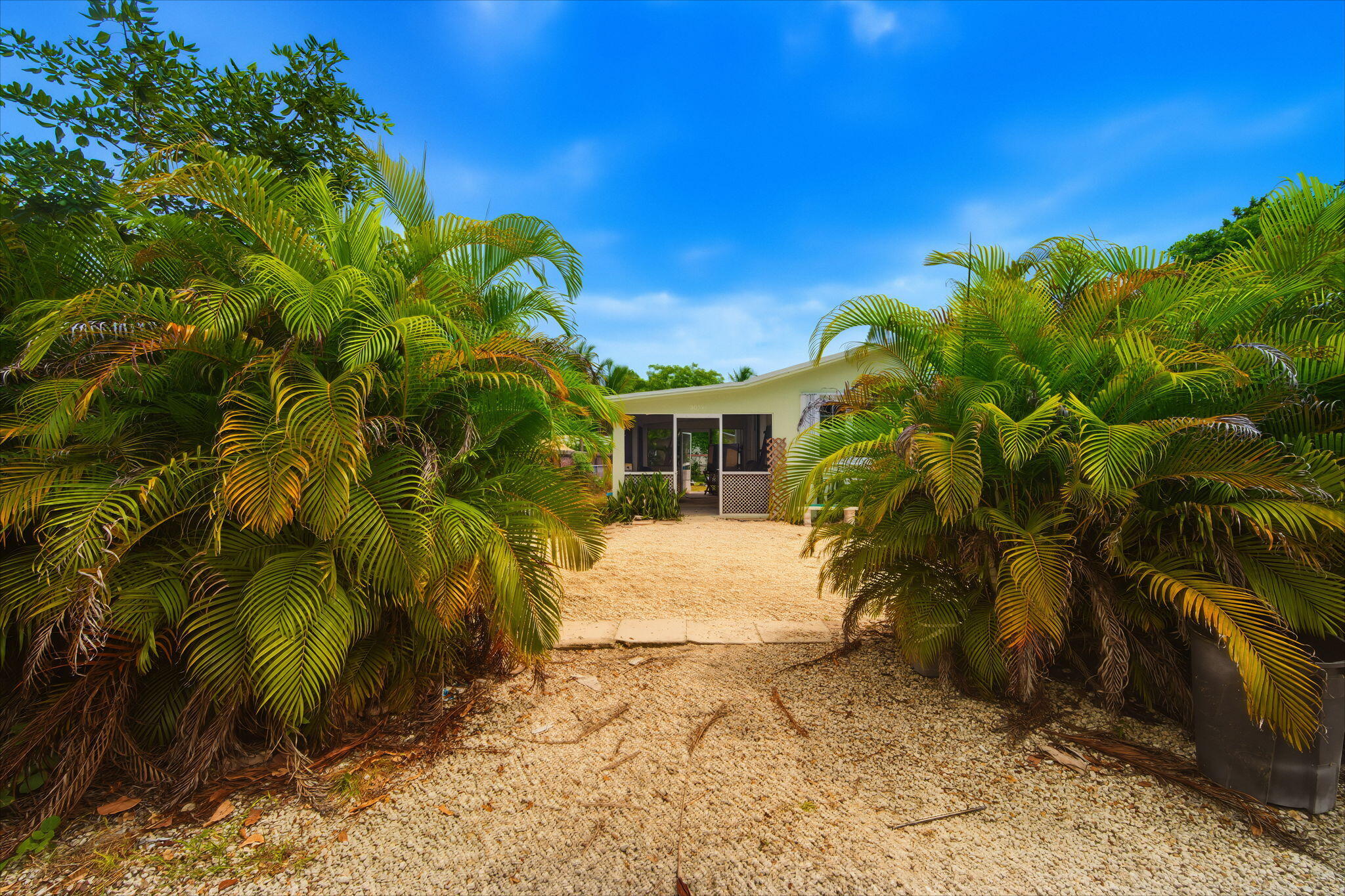 30354 Palm Drive Property Photo 4