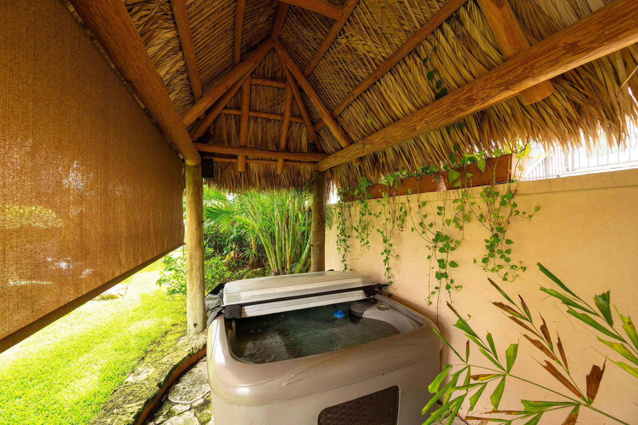 30 Calle Uno Property Photo 21