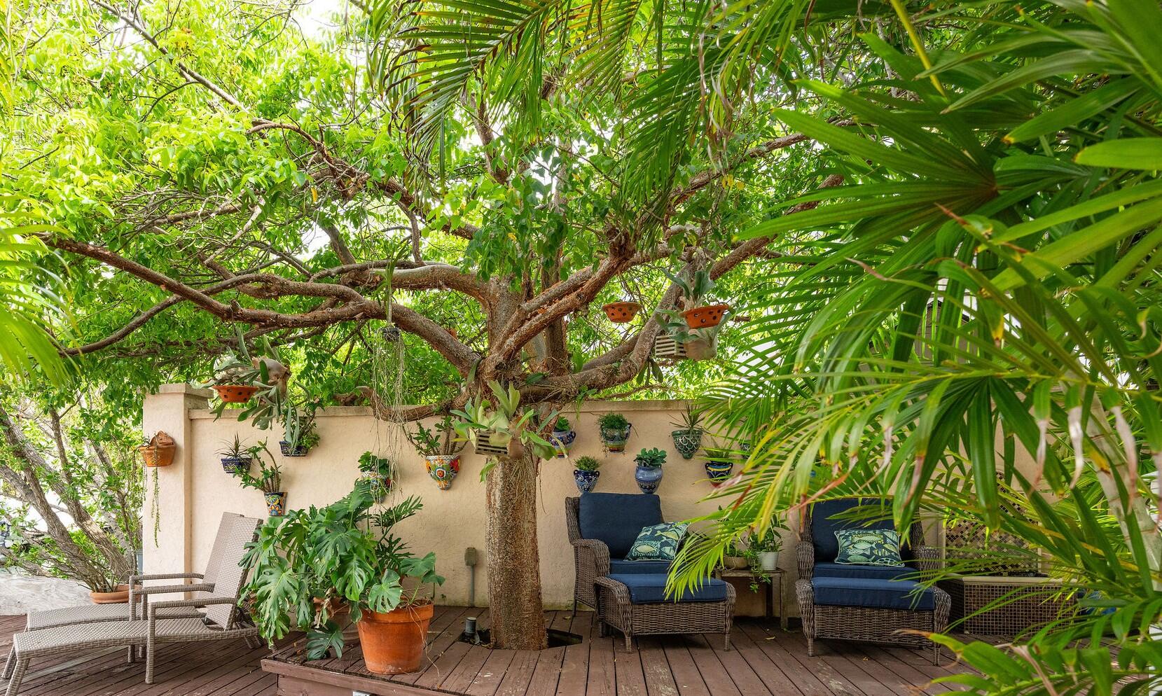 30 Calle Uno Property Photo 22