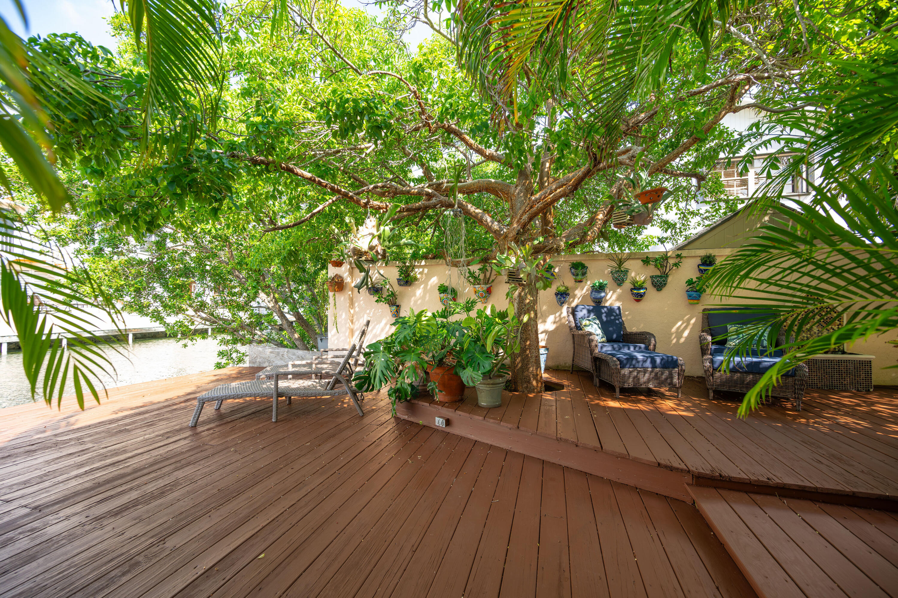 30 Calle Uno Property Photo 43