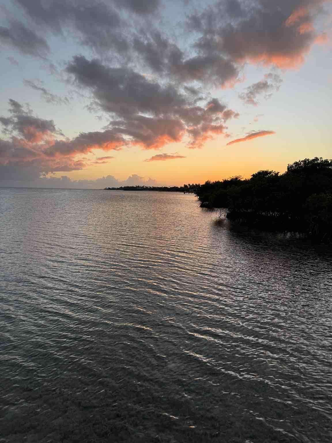 77481 Overseas Highway Property Photo 3