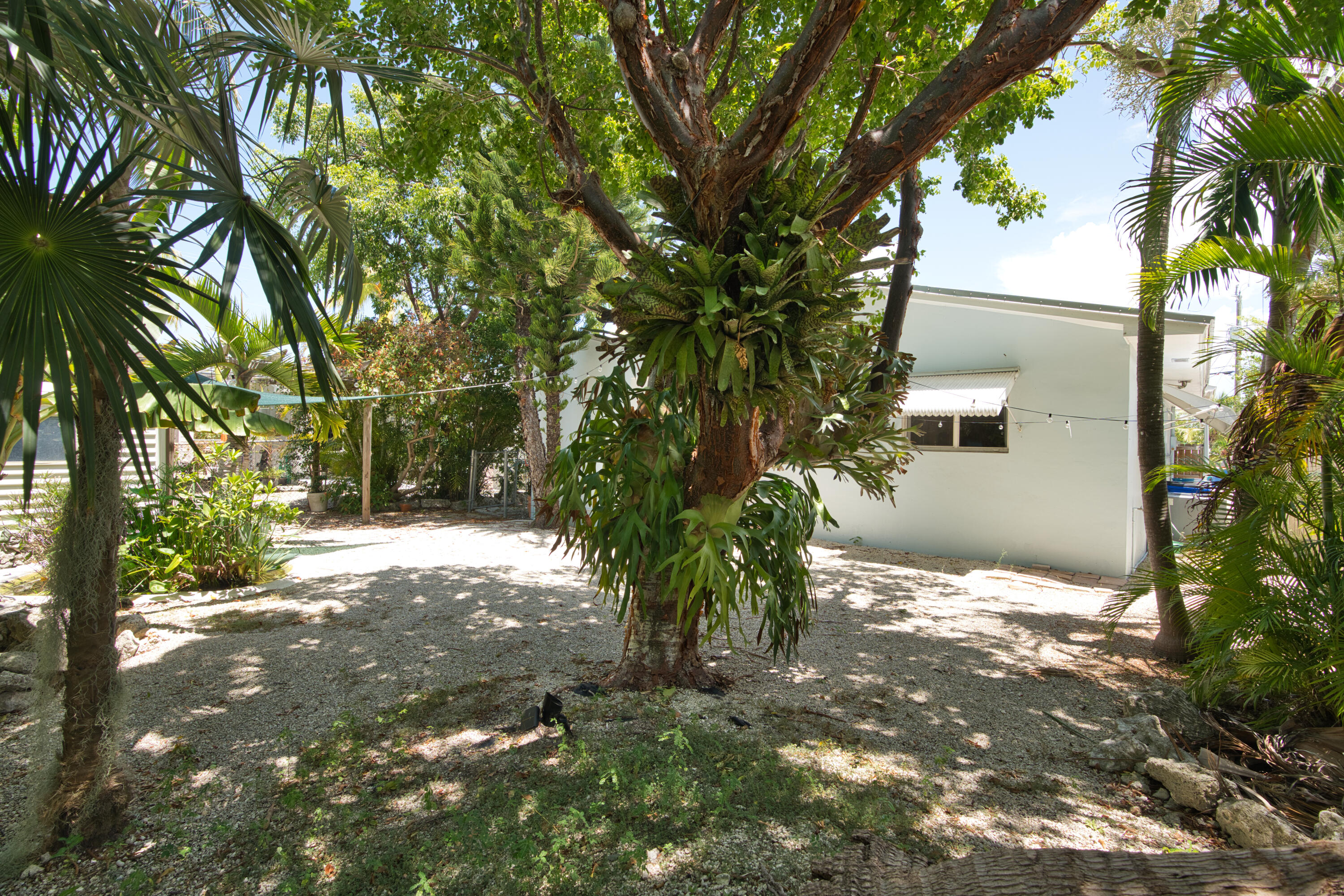 207 Hibiscus Street Property Photo 28