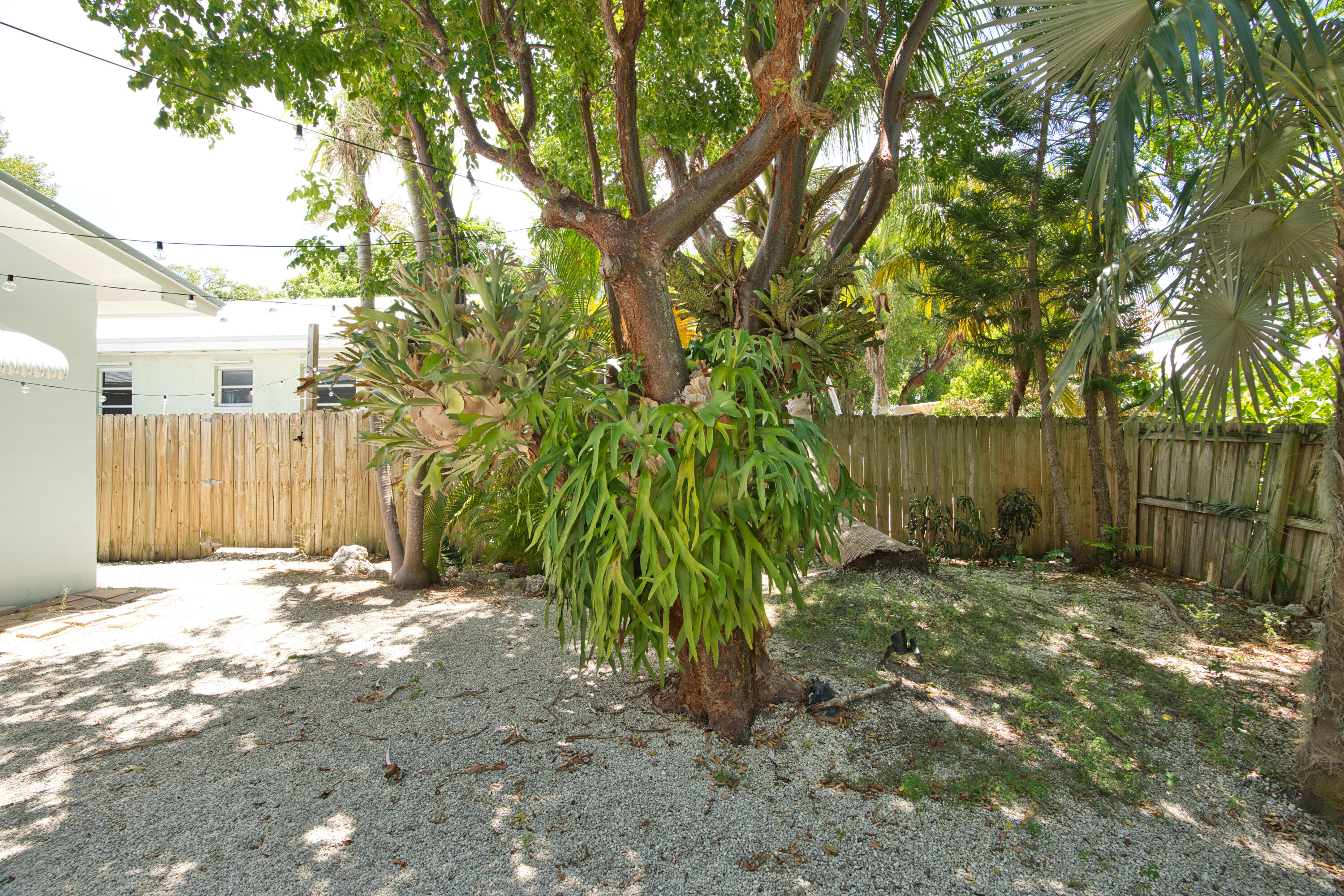 207 Hibiscus Street Property Photo 31
