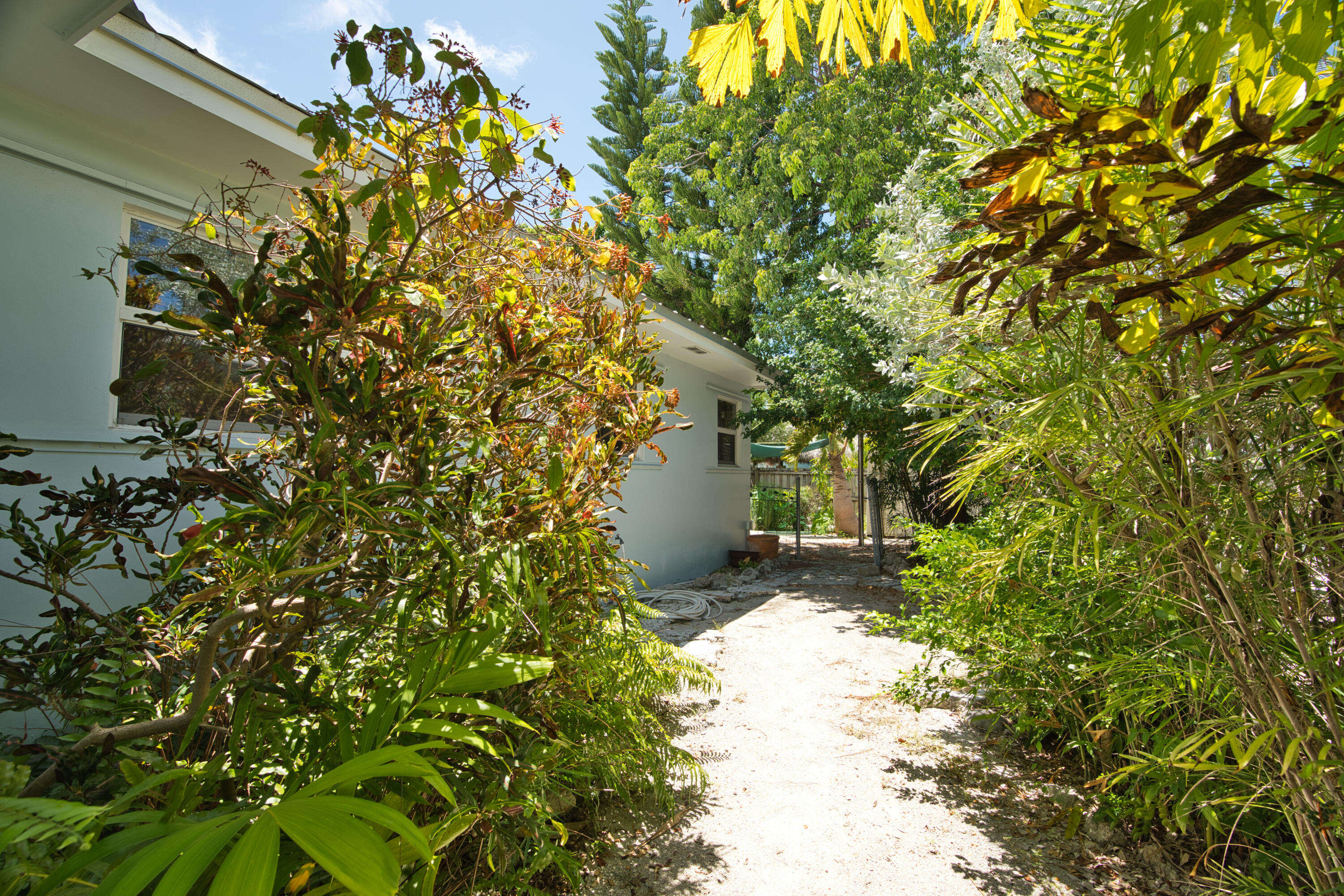 207 Hibiscus Street Property Photo 38