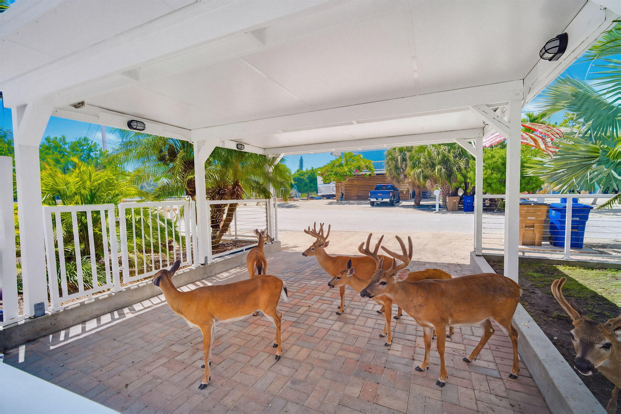29165 Clover Lane Property Photo 46