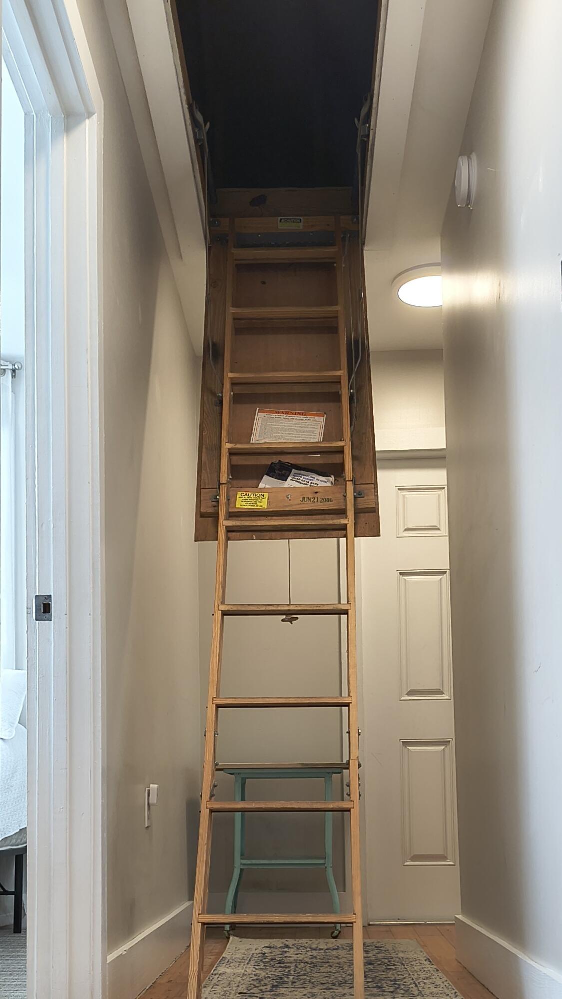 208 Olivia Street Property Photo 21