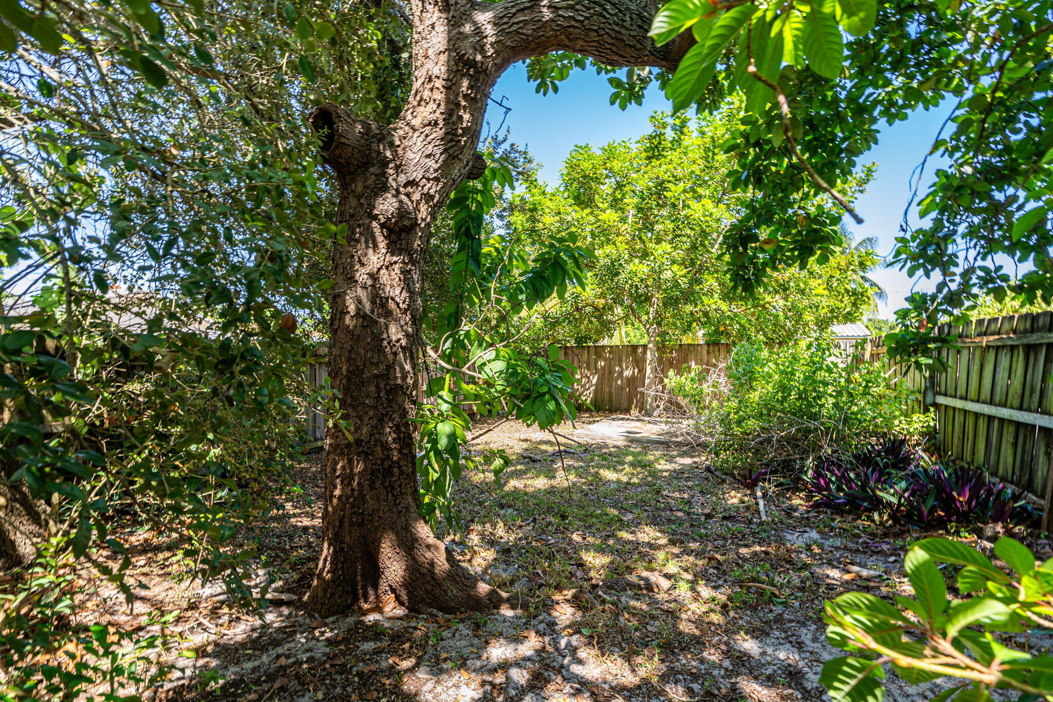 2539 Coolidge Street Property Photo 33