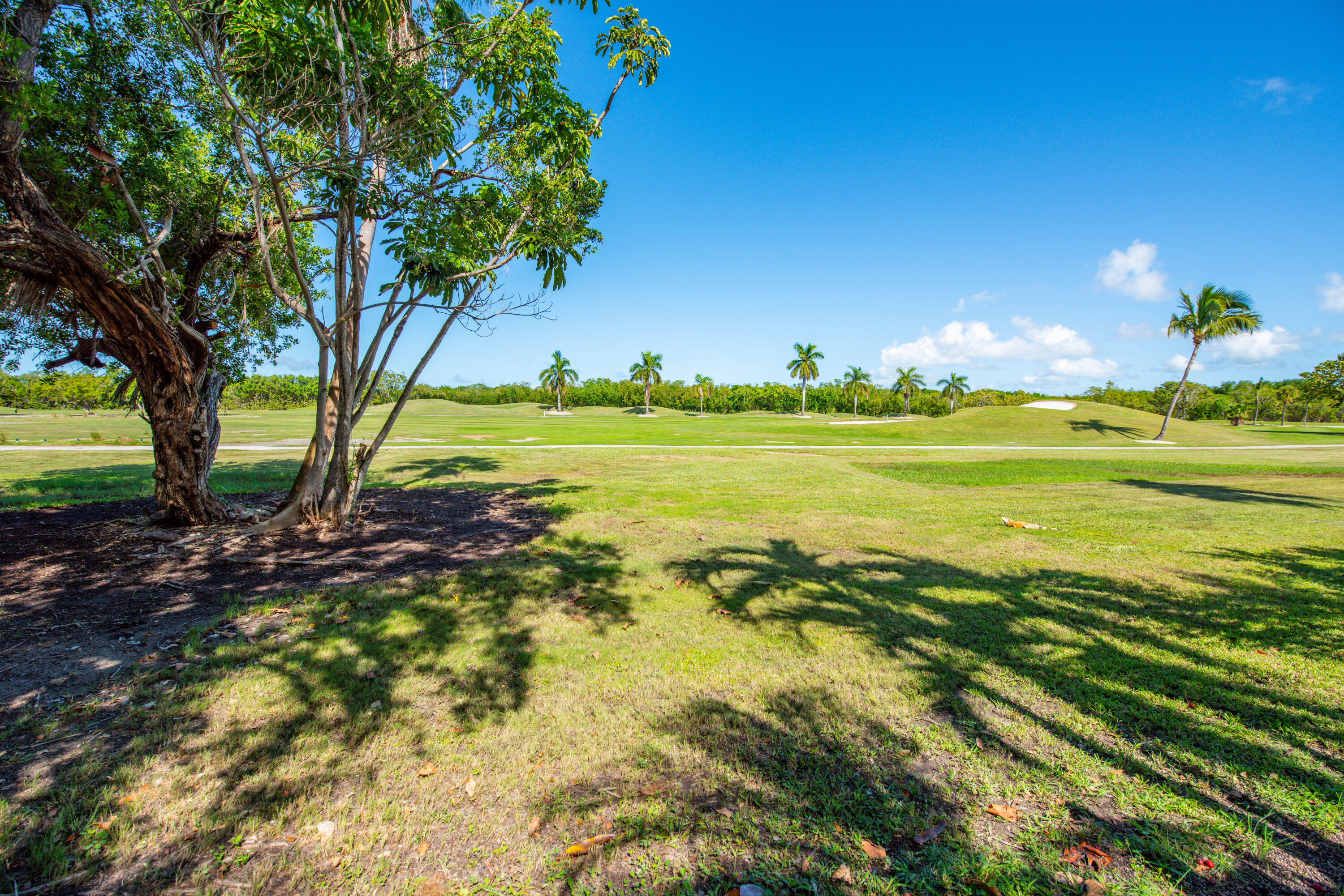 135 Golf Club Drive Property Photo 24