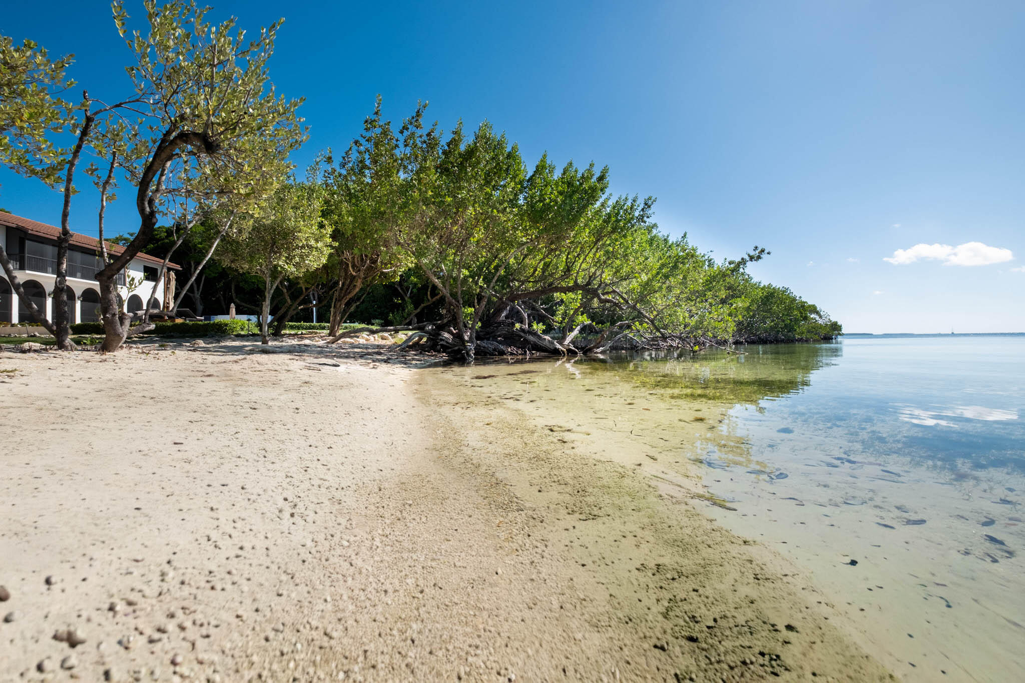 350 Buttonwood Bight Lane Property Photo 68