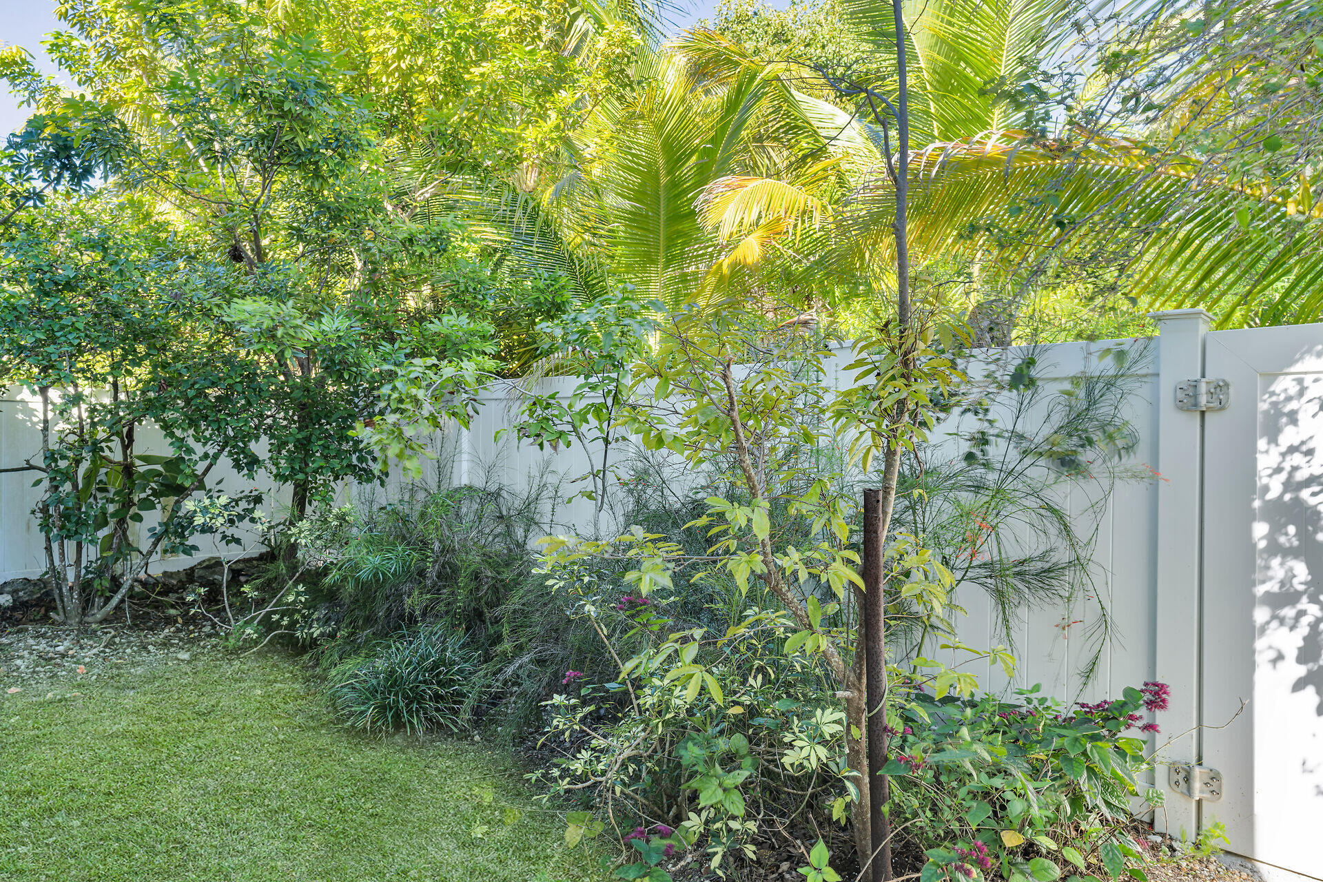 29313 Coconut Palm Drive Property Photo 33