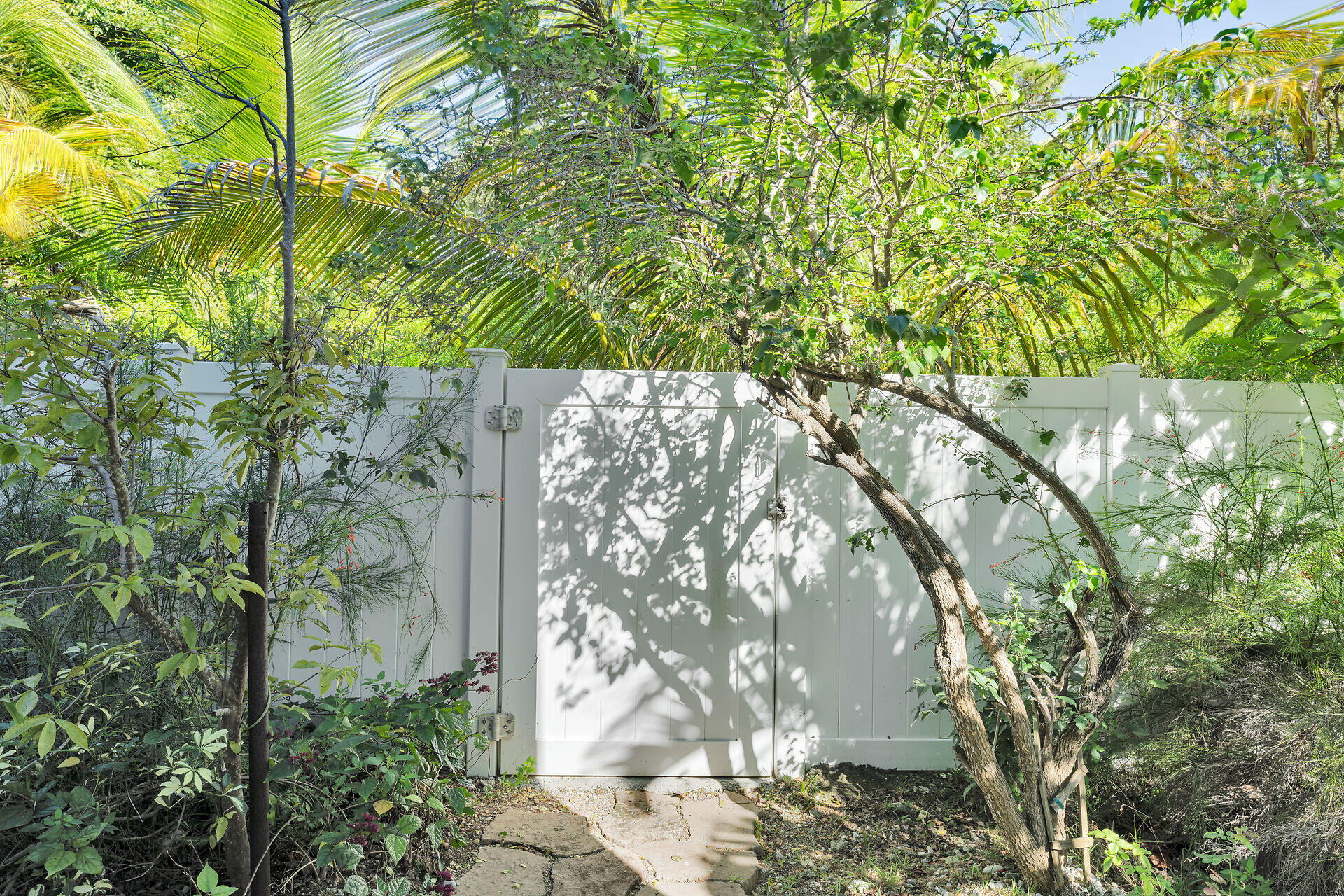 29313 Coconut Palm Drive Property Photo 34