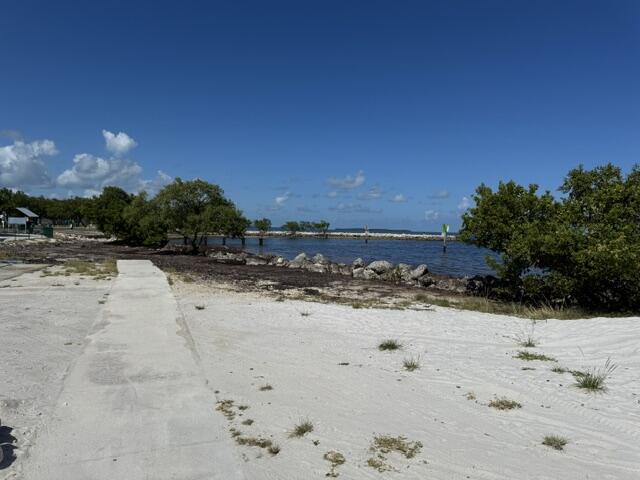 146 Dove Lake Drive Property Photo 46