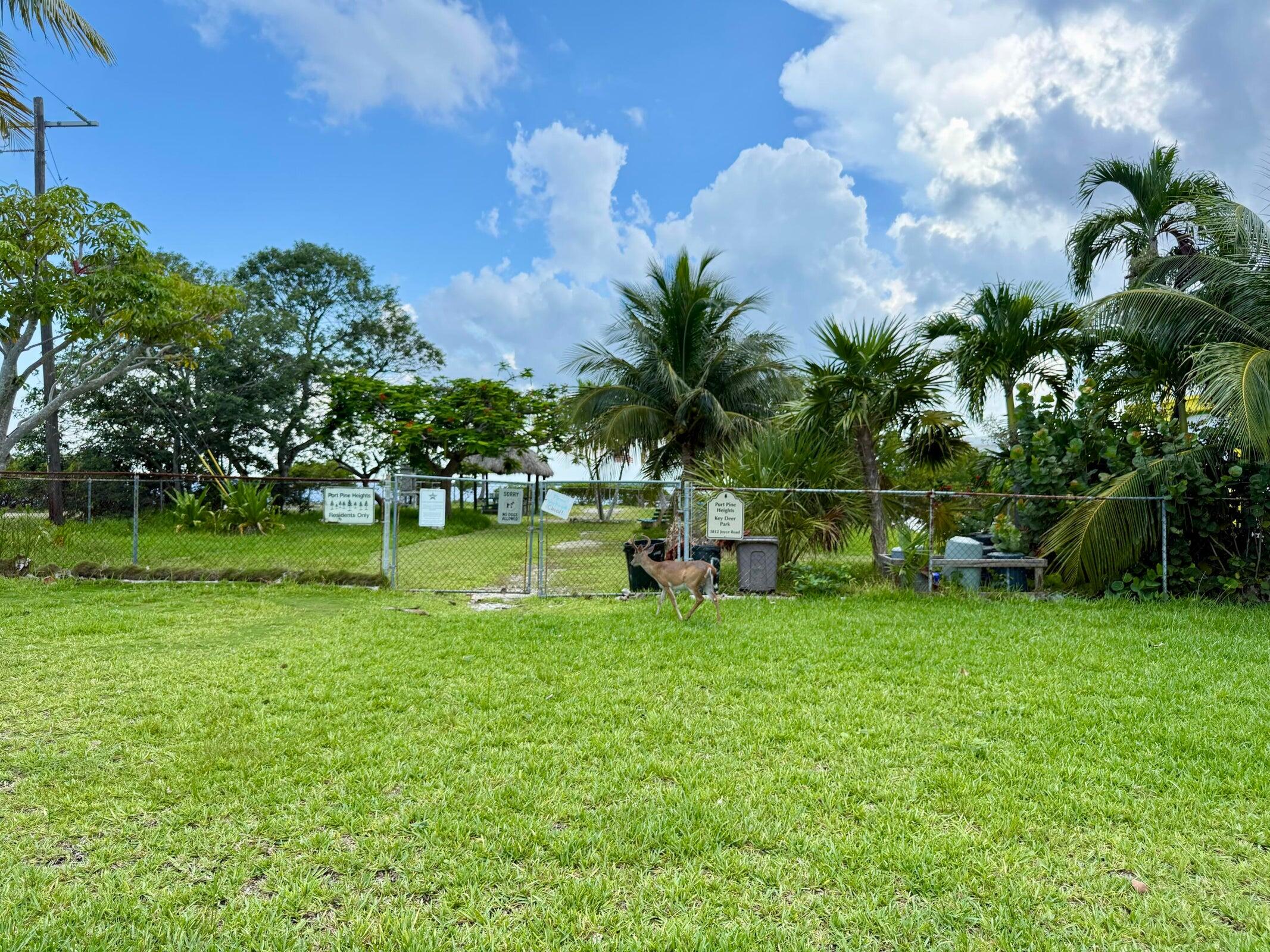3962-3964 No Name Road Property Photo 17