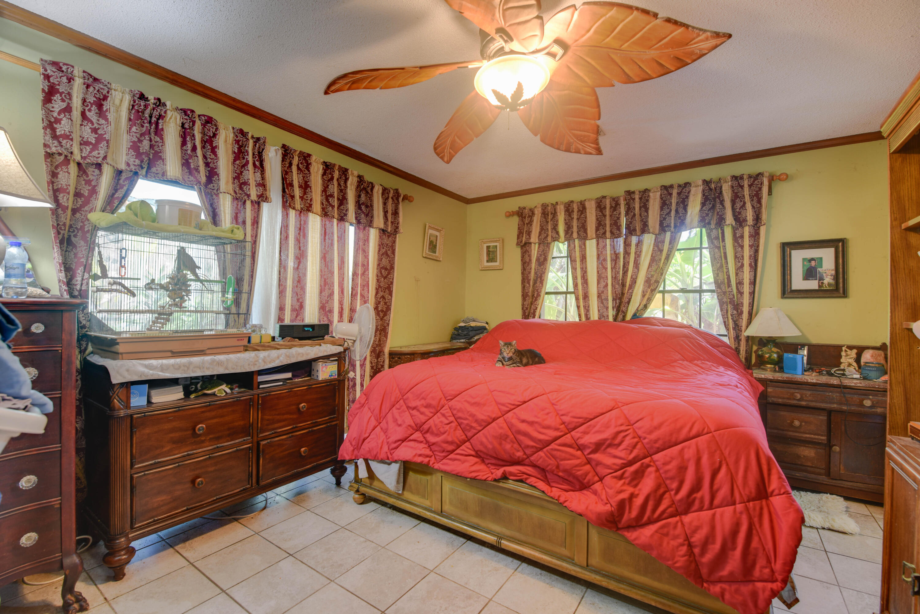 545 Ixora Drive Property Photo 13