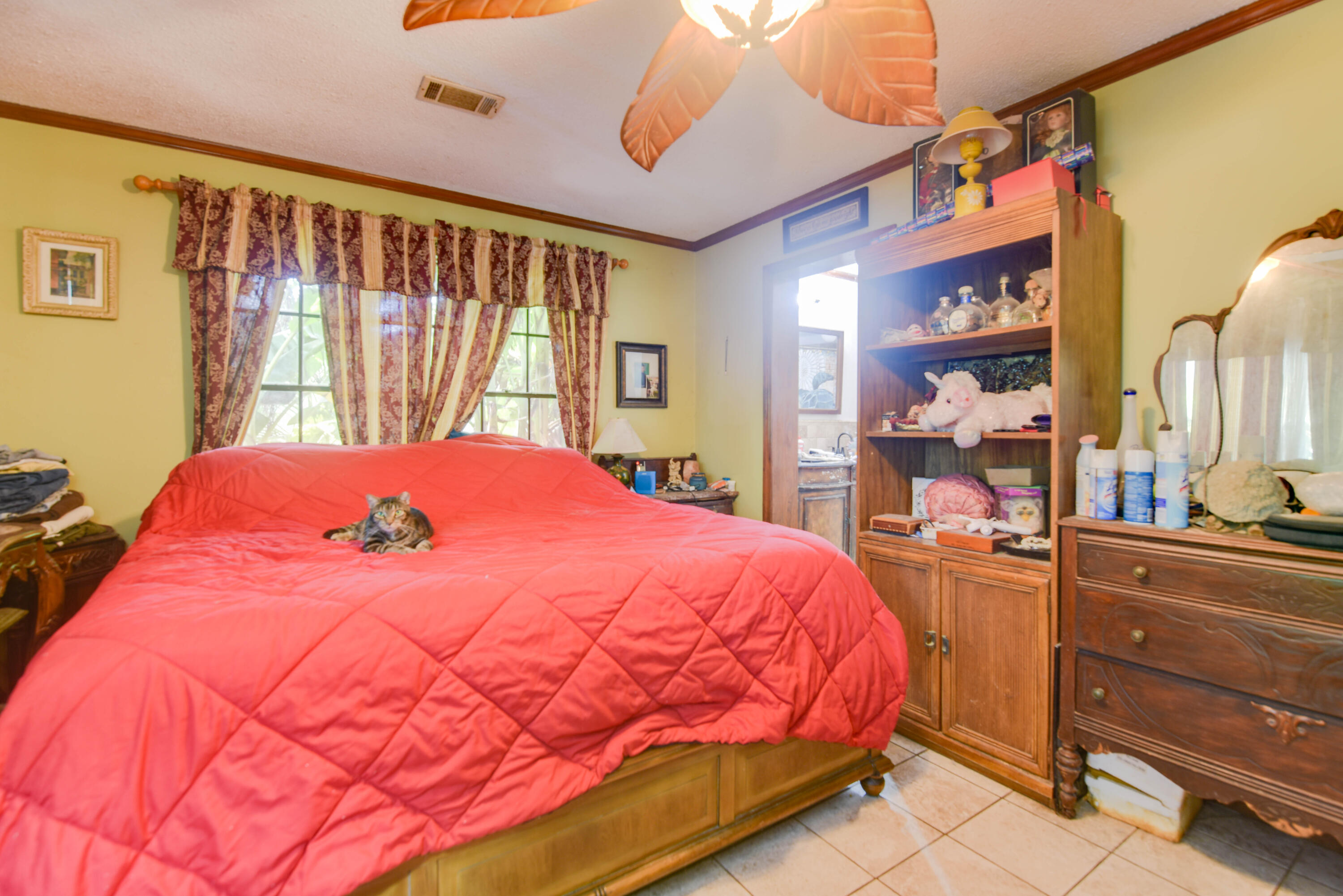 545 Ixora Drive Property Photo 14